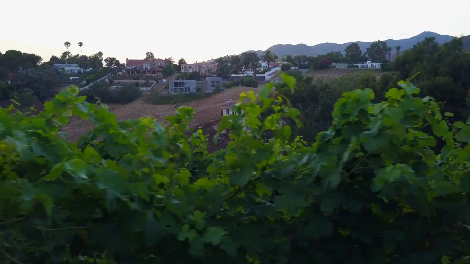napa-3-still.jpg