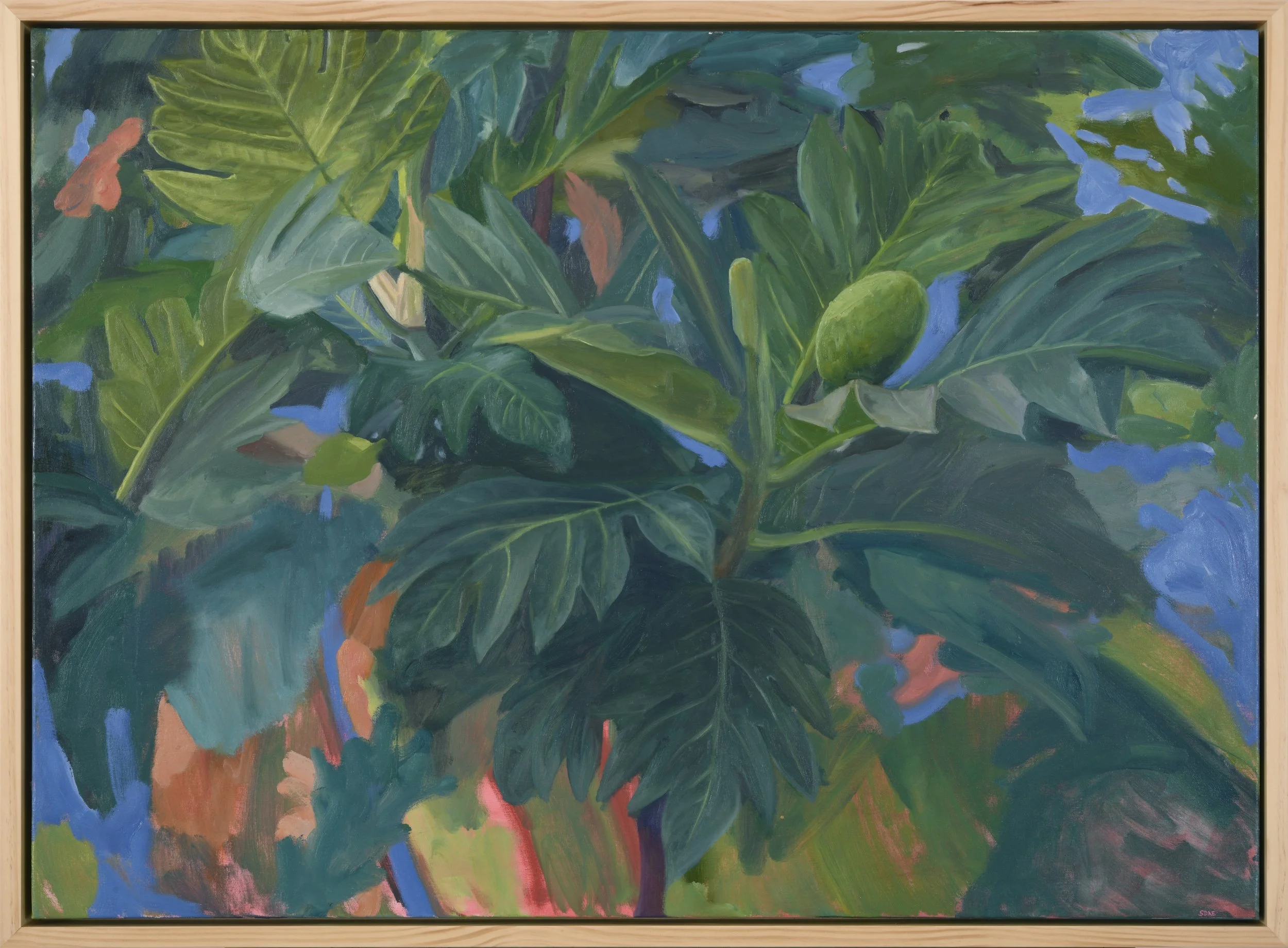 Malu 'ulu 'o Lele - "The shaded breadfruit grove of Lele." That is one of the historical Hawaiian names for Lahaina.
Before the fires, I drove over to the west side determined to paint an ‘ulu tree. We think of the
west side as being arid but I was a