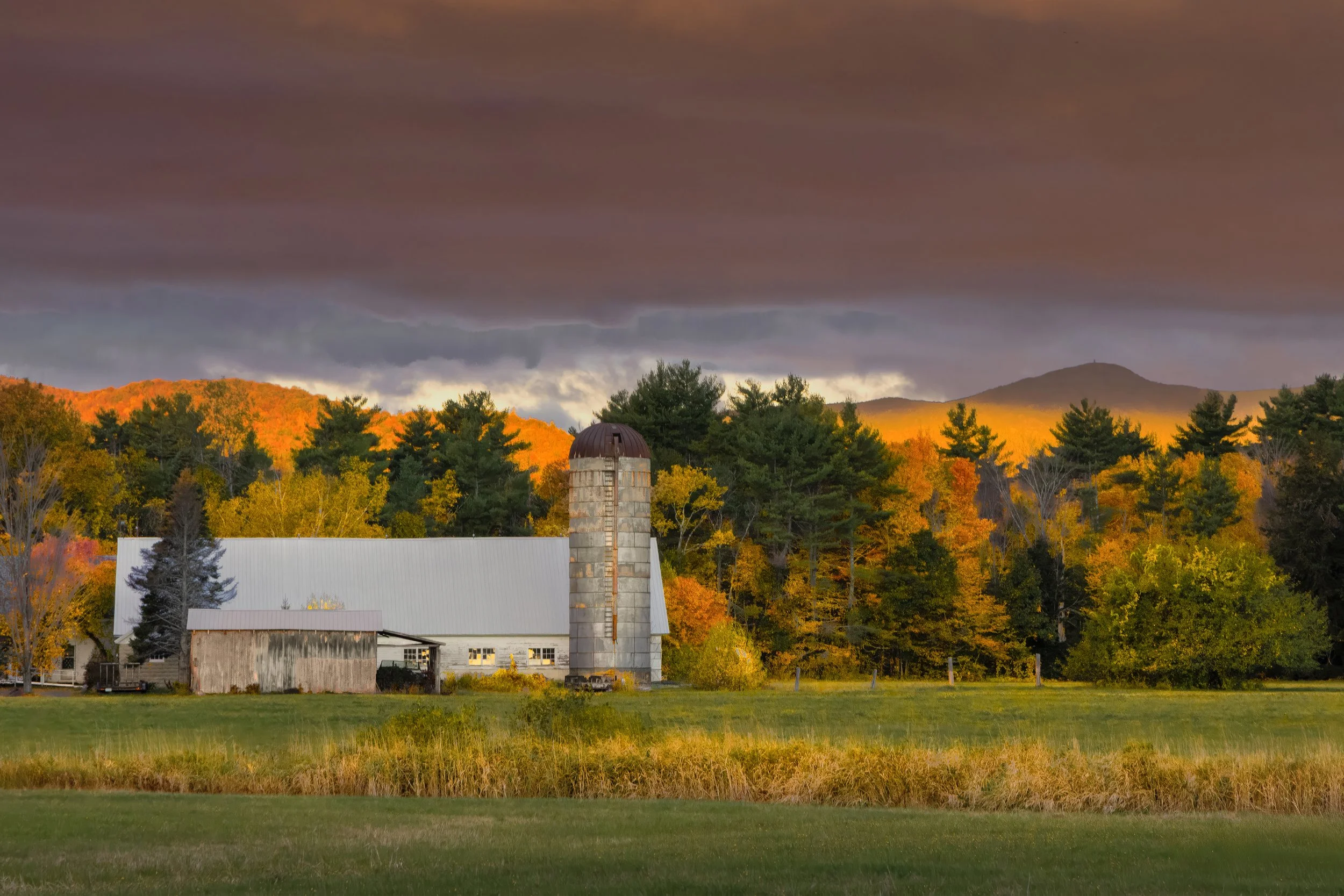 The Harvest of Light