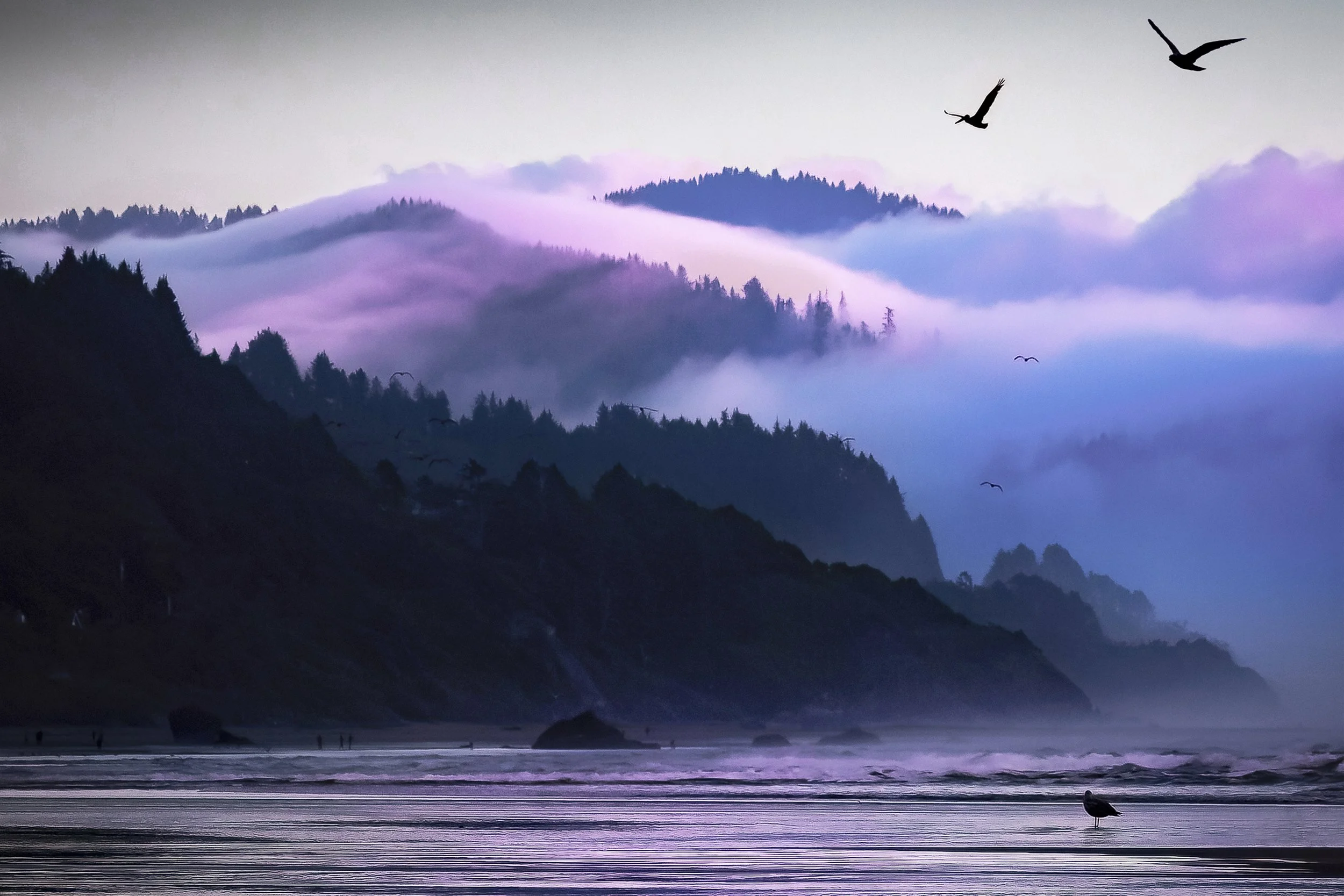Where the Mist Wanders