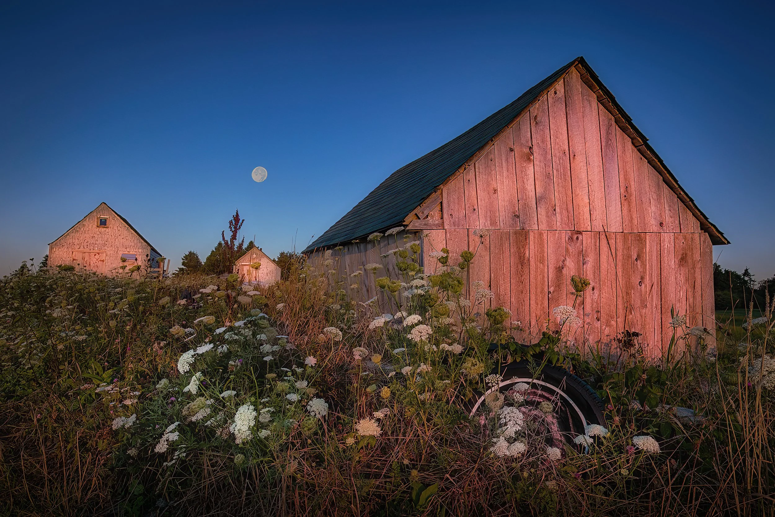 Moonlight on Yesterday
