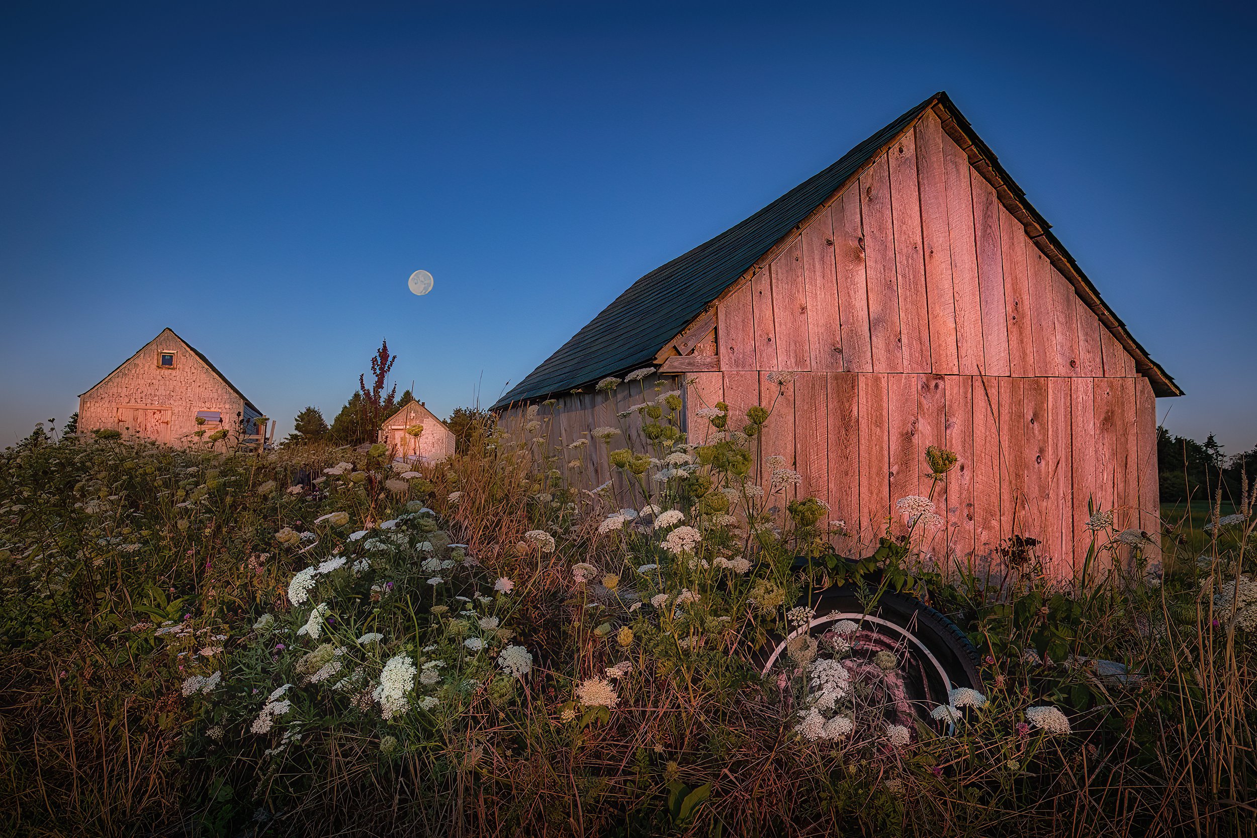 WLL_016.jpg