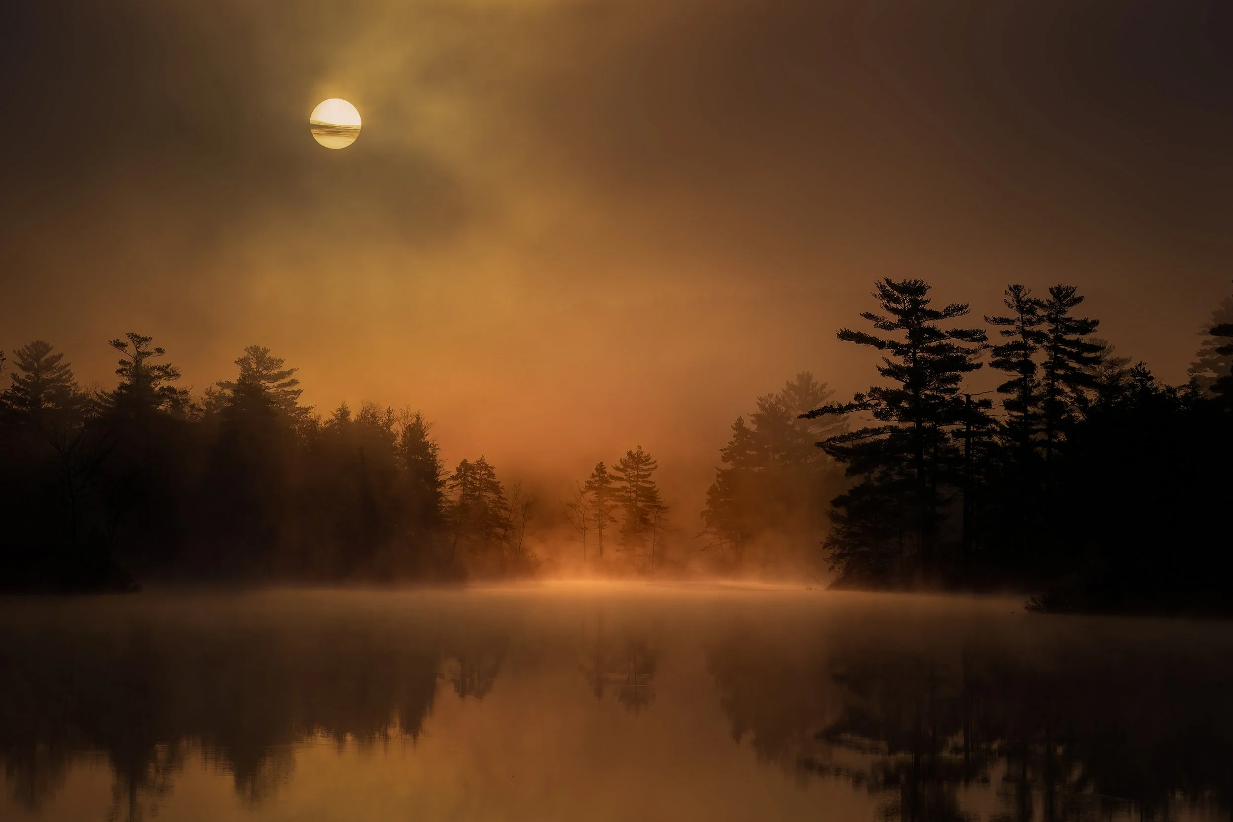 WLL_008.jpg
