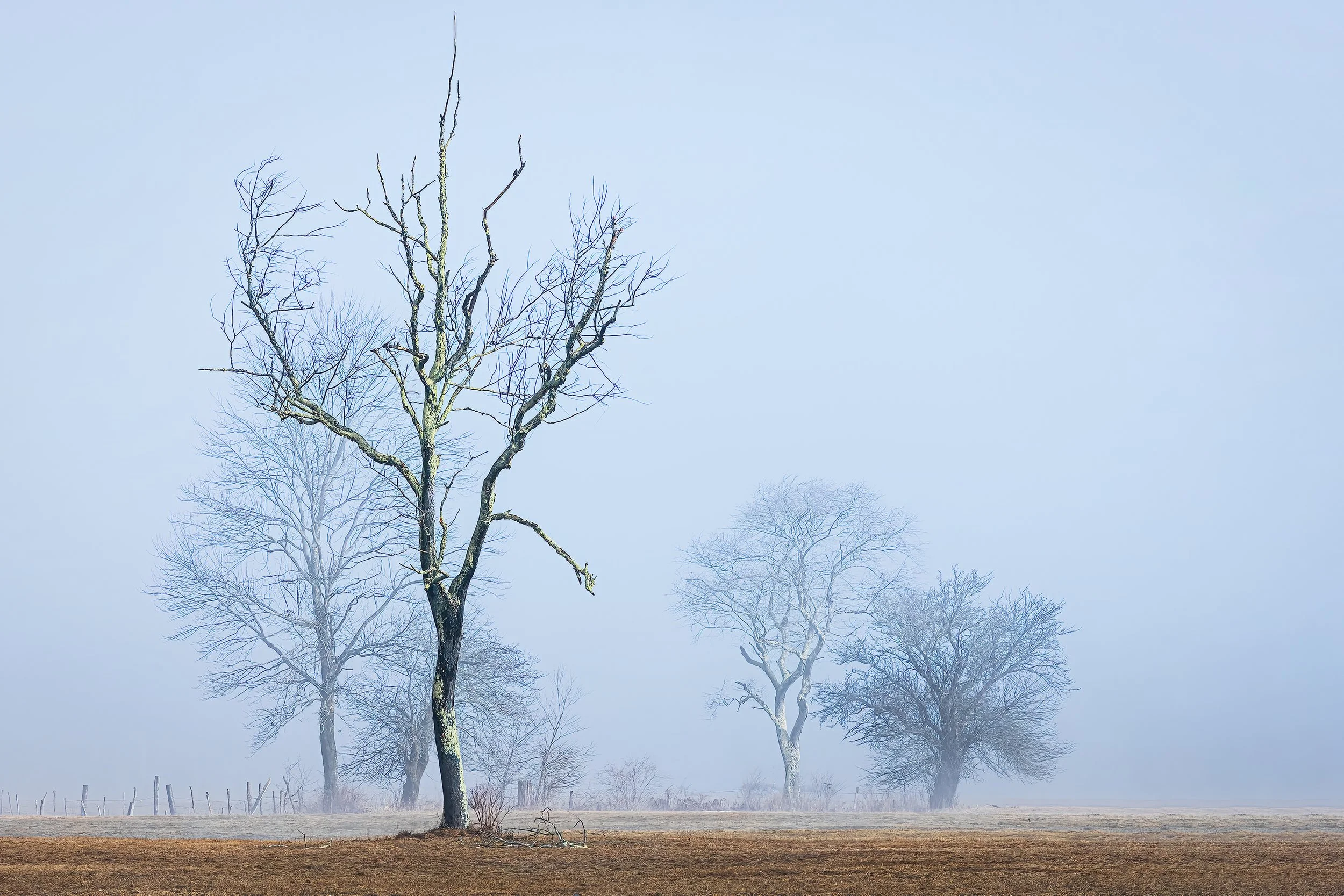 The Quiet of Winter