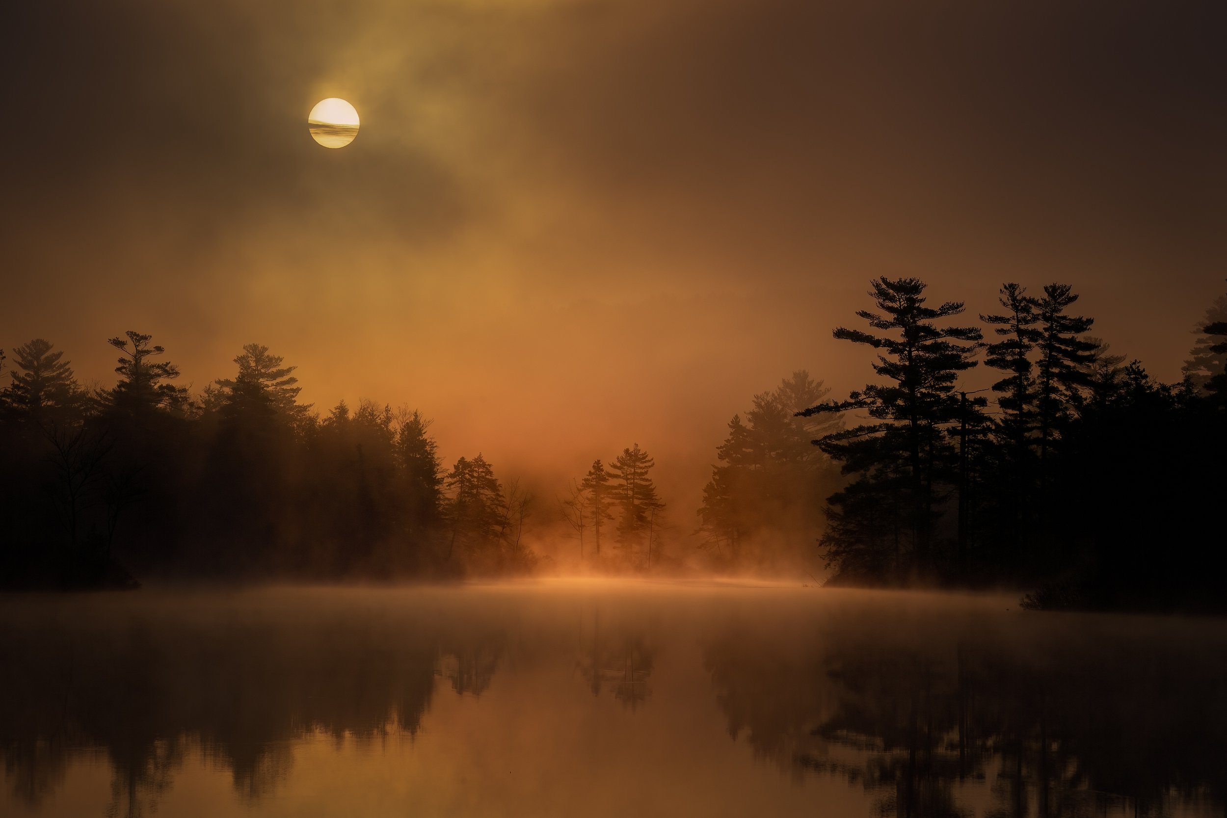 Before The World Wakes