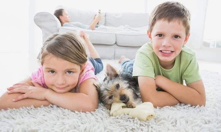 Kids and therr dog sitting comfortably on a freshly cleaned living room rug in front of a fabric sofa