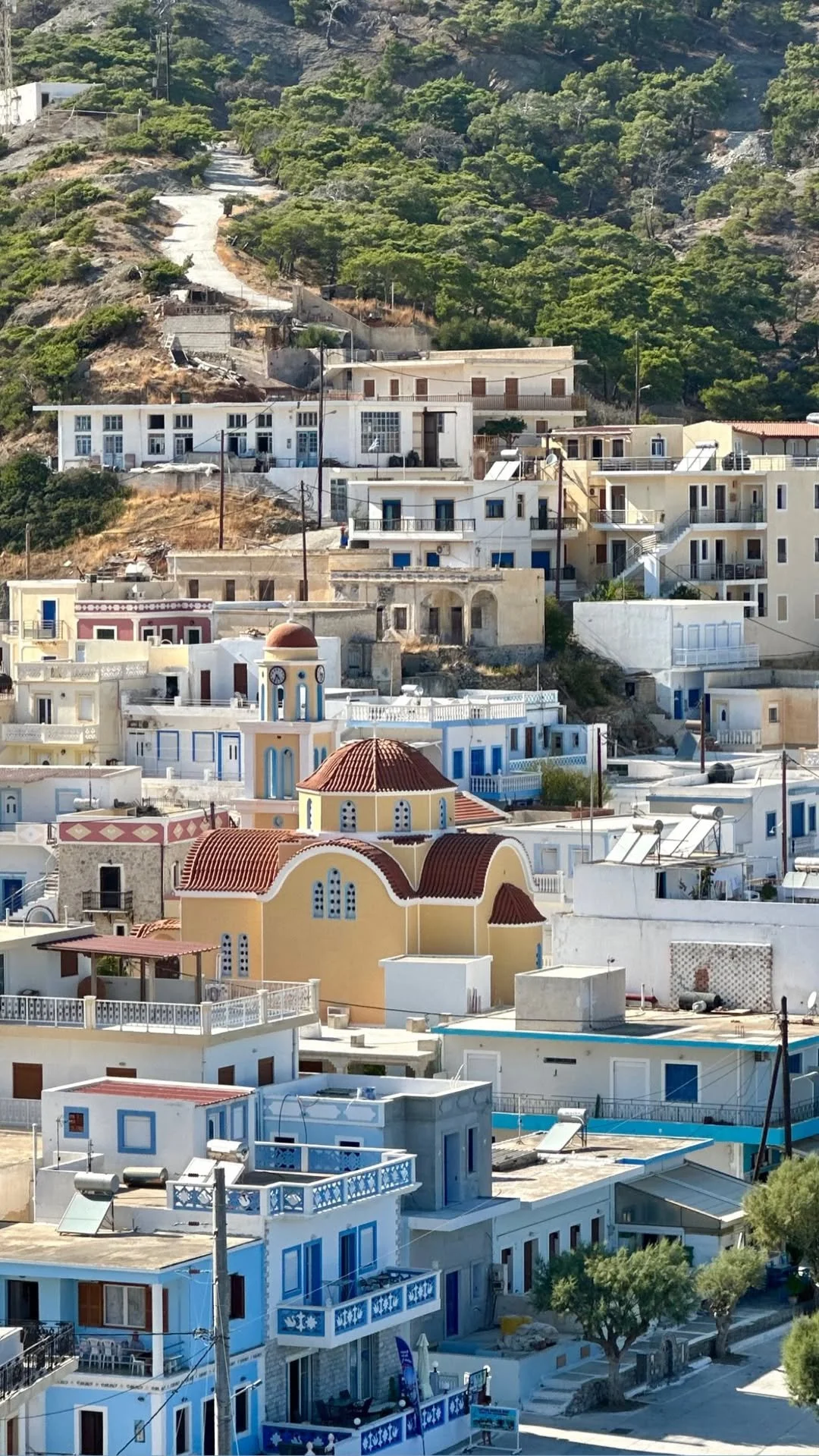 Traditional white-and-blue village buildings and church on a lush, mountainous Greek island