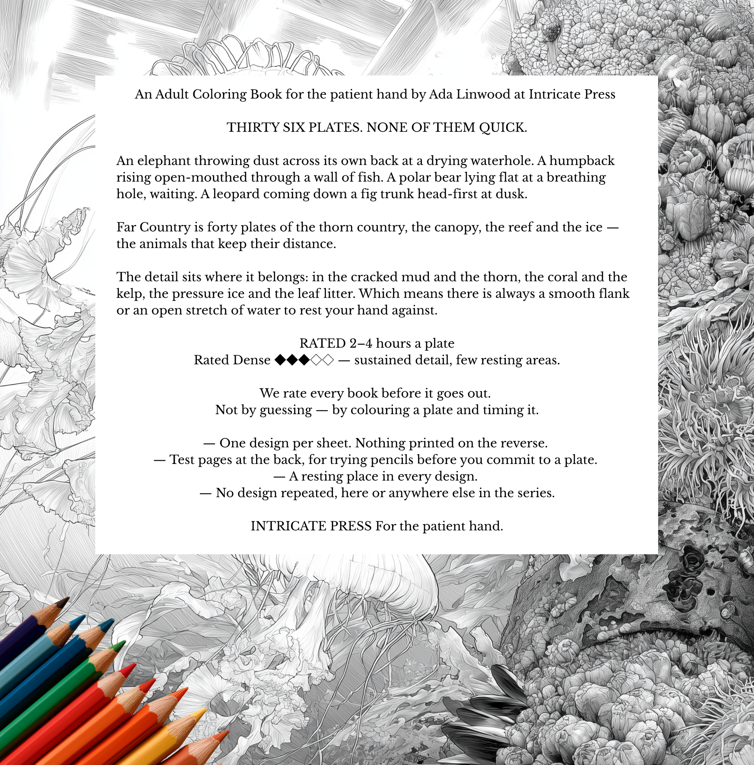 Back cover.png