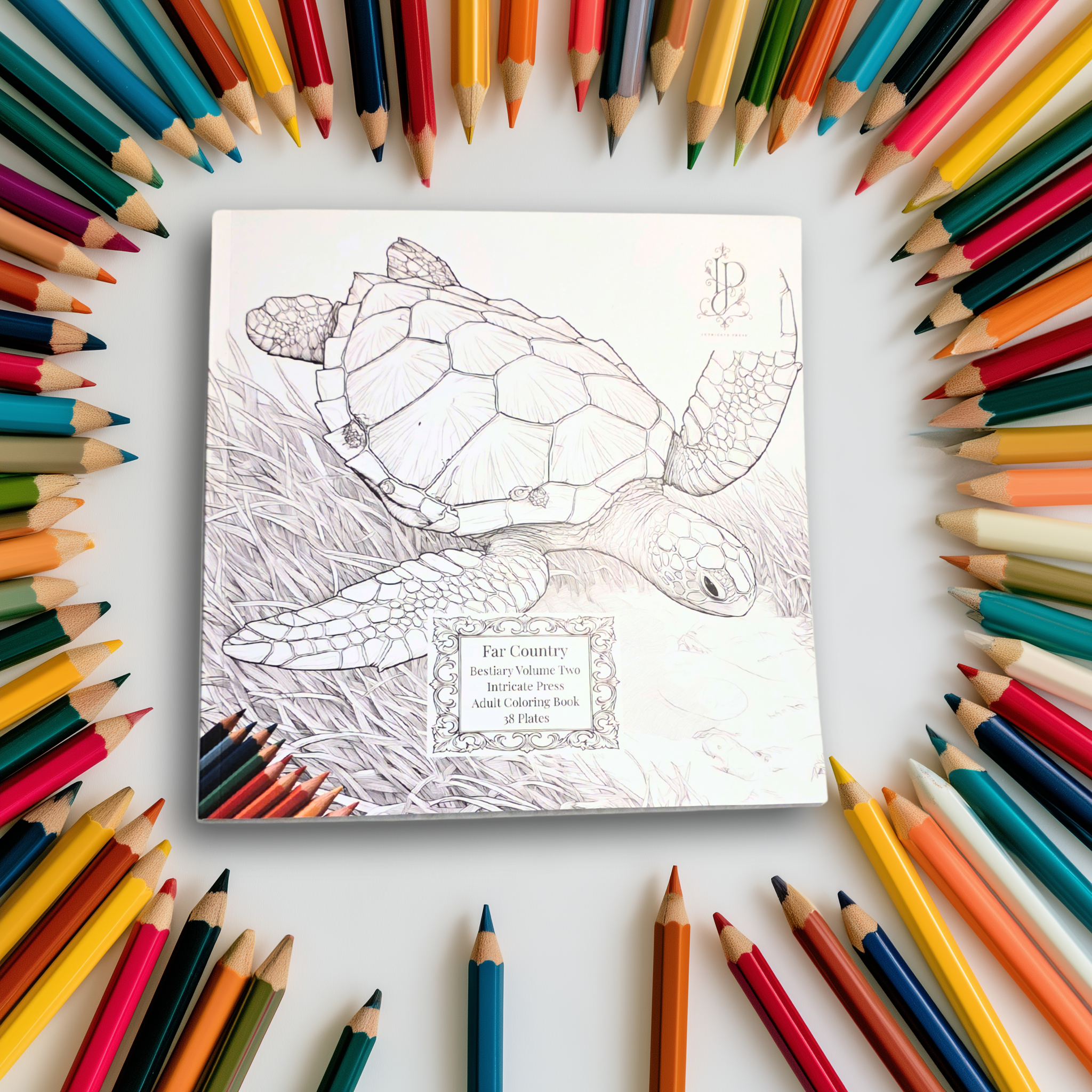 Far Country Adult Coloring Book
