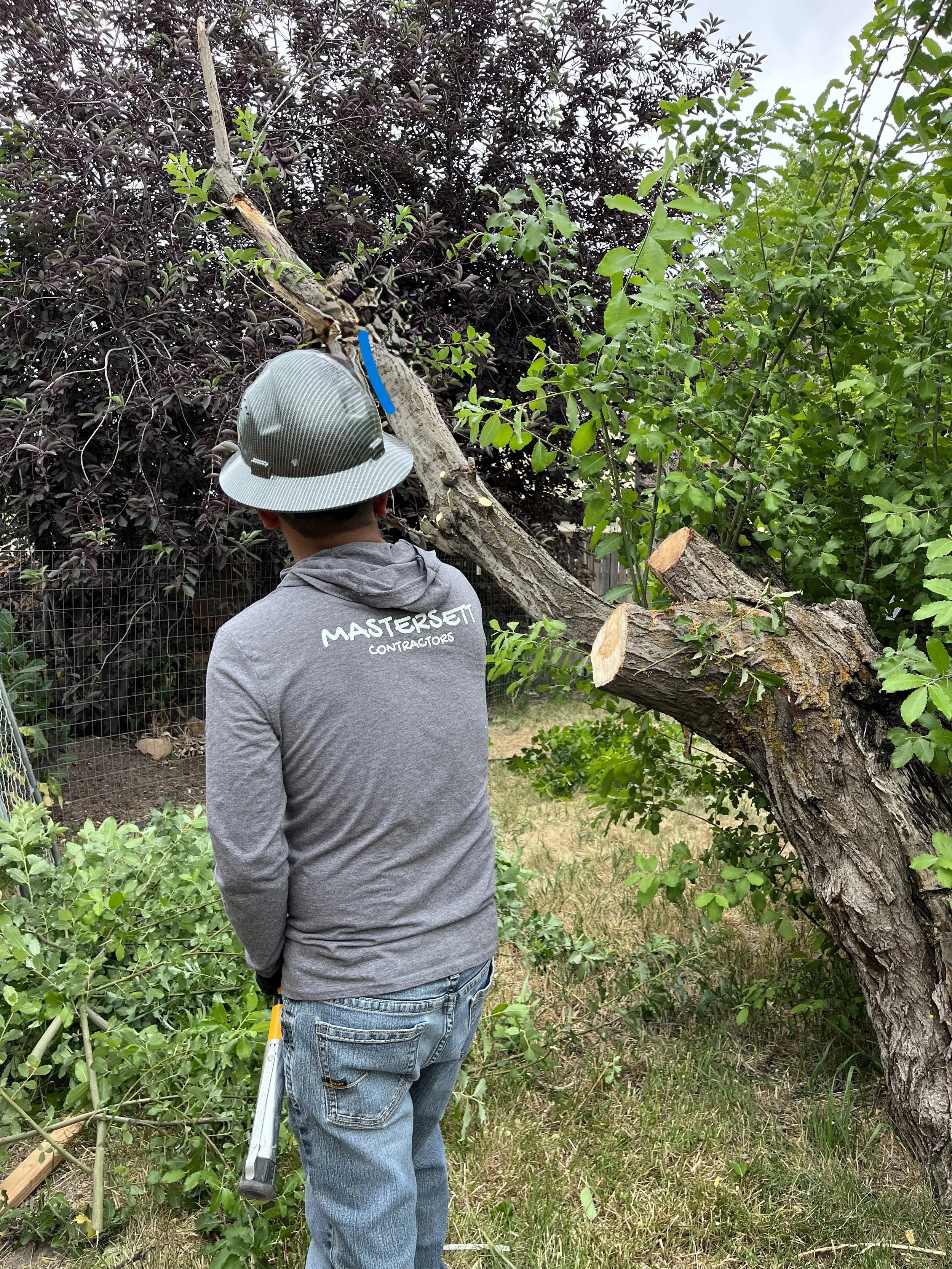 Tree surgeon in protective helmet standing beside a freshly cut tree in a leafy backyard