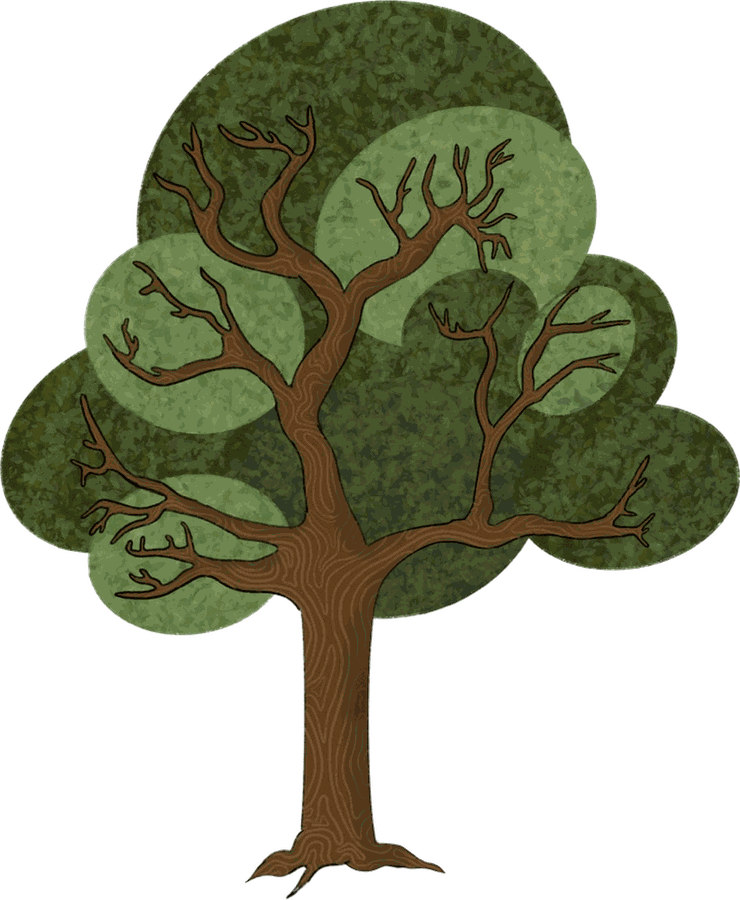 A full green tree with a sturdy trunk and spreading branches