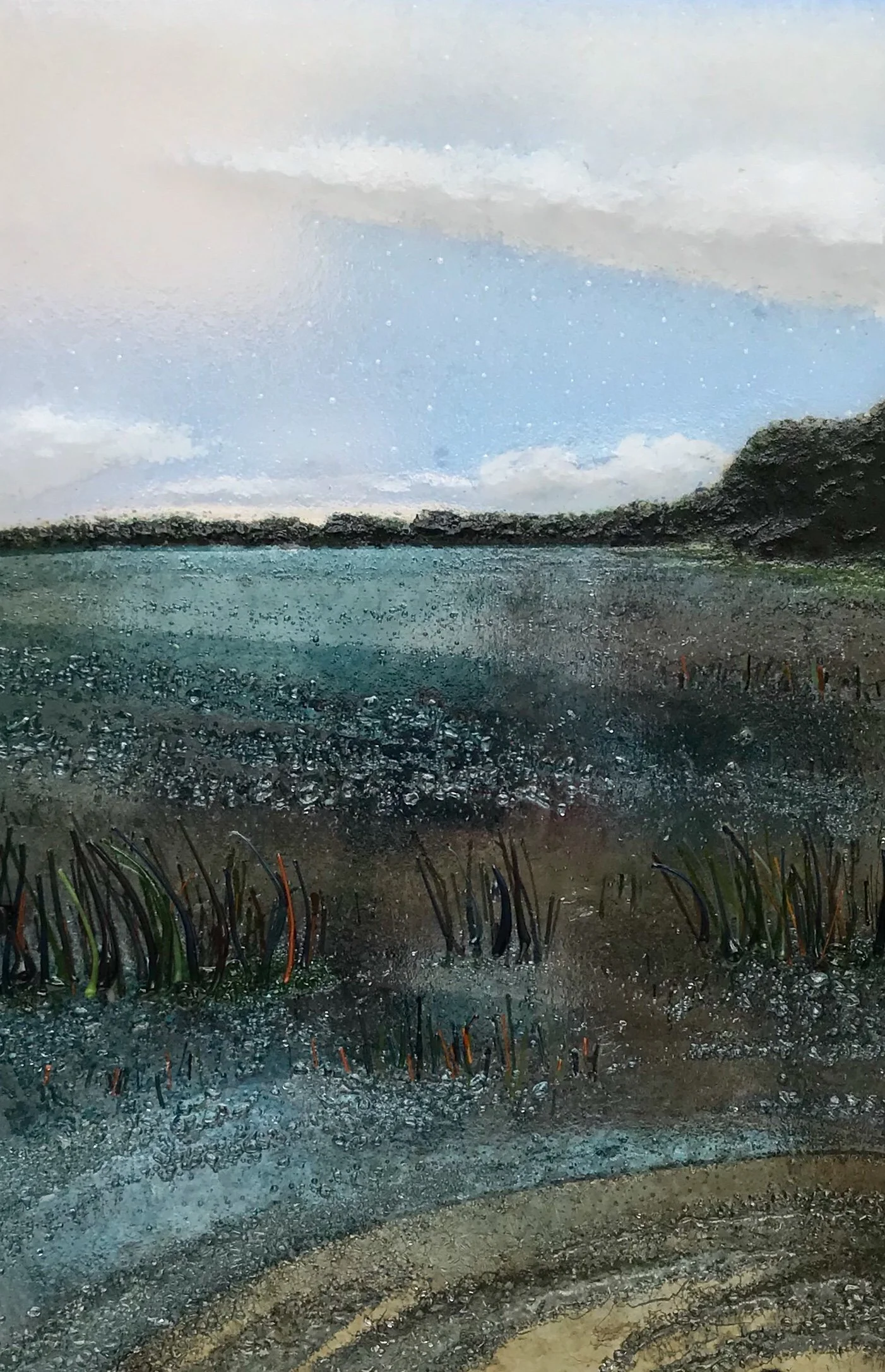 Rain-speckled view of a rocky coastline and calm blue water beneath cloudy skies, with beach grass in the foreground