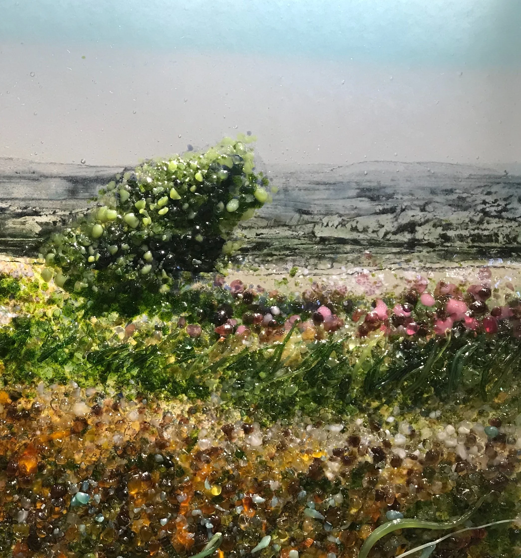 Close-up of colorful gravel and green aquatic plants in a shallow aquarium