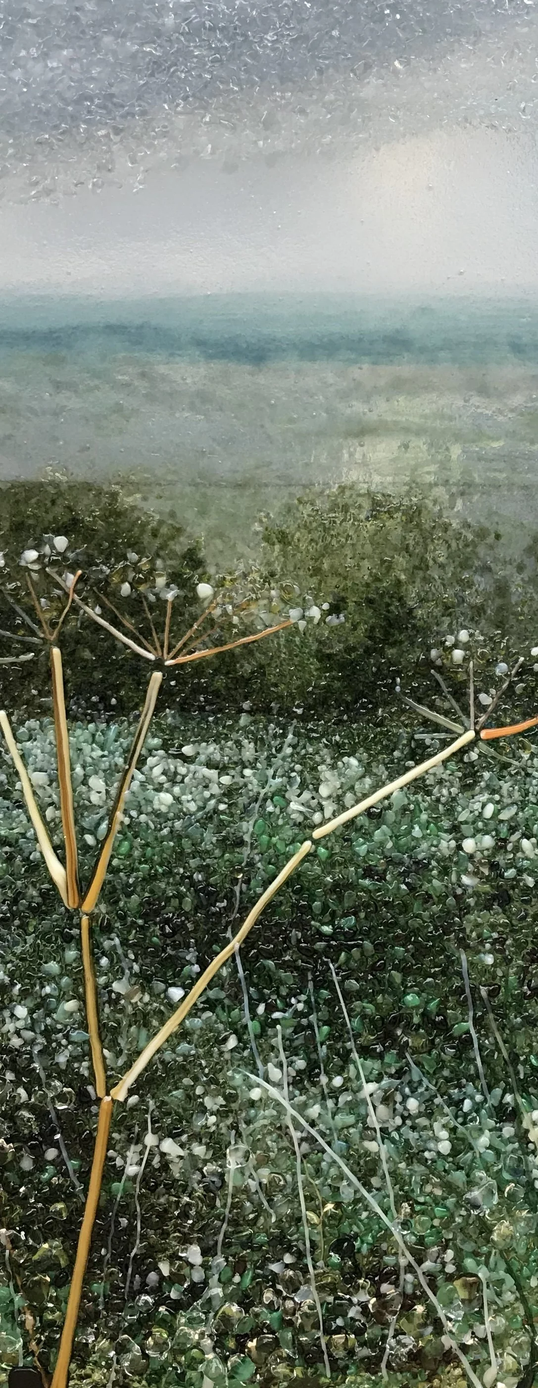 Close-up of seaweed and orange-brown kelp stems on a rocky shoreline beneath shallow blue-green water