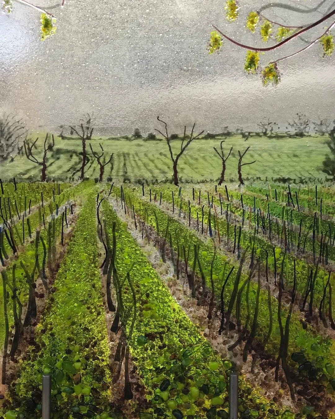 Bolney vineyard - Rainy vineyard with rows of green grapevines, leafless trees, and a misty countryside landscape