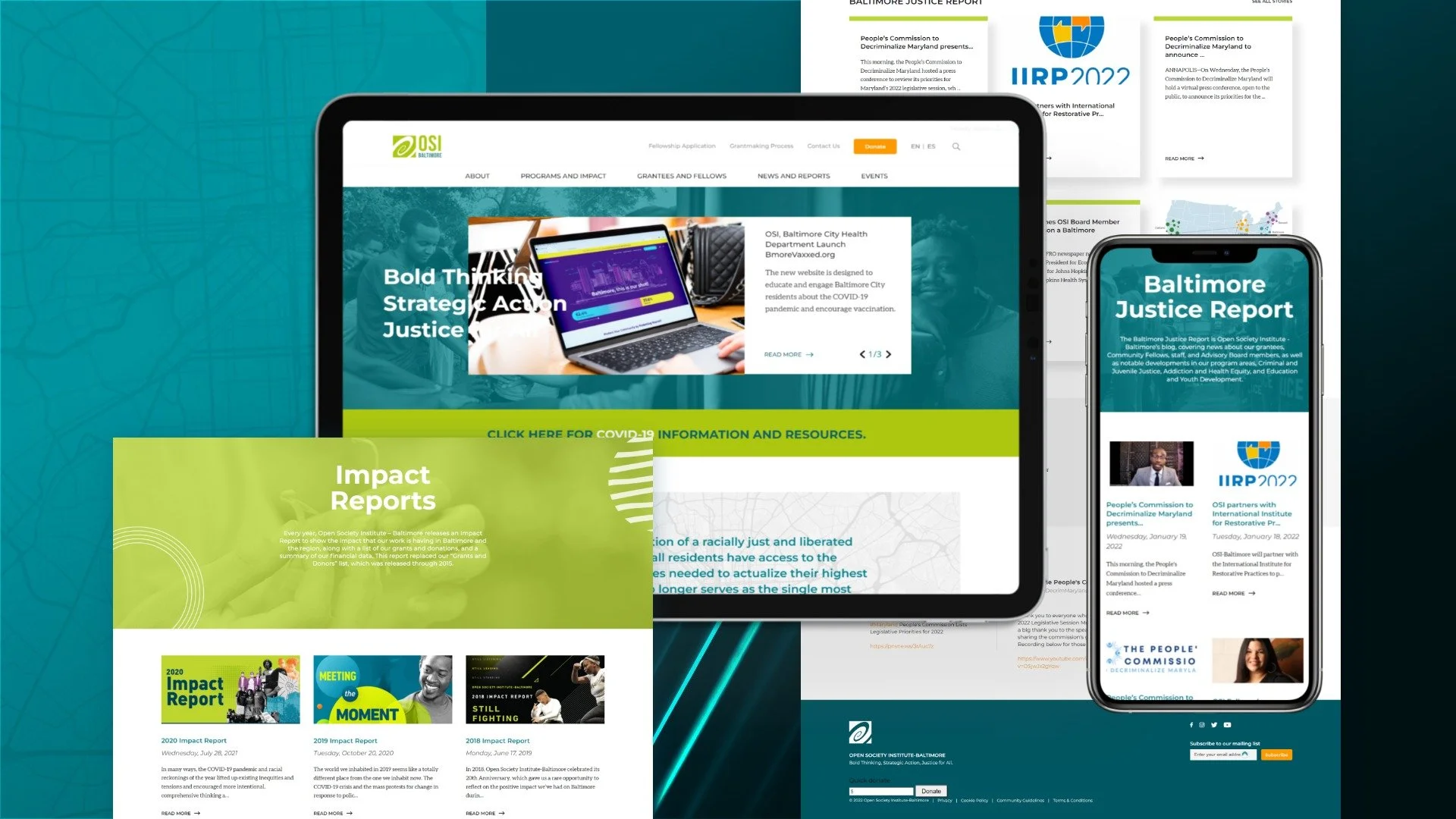 portfolio-review-osi-website.jpg