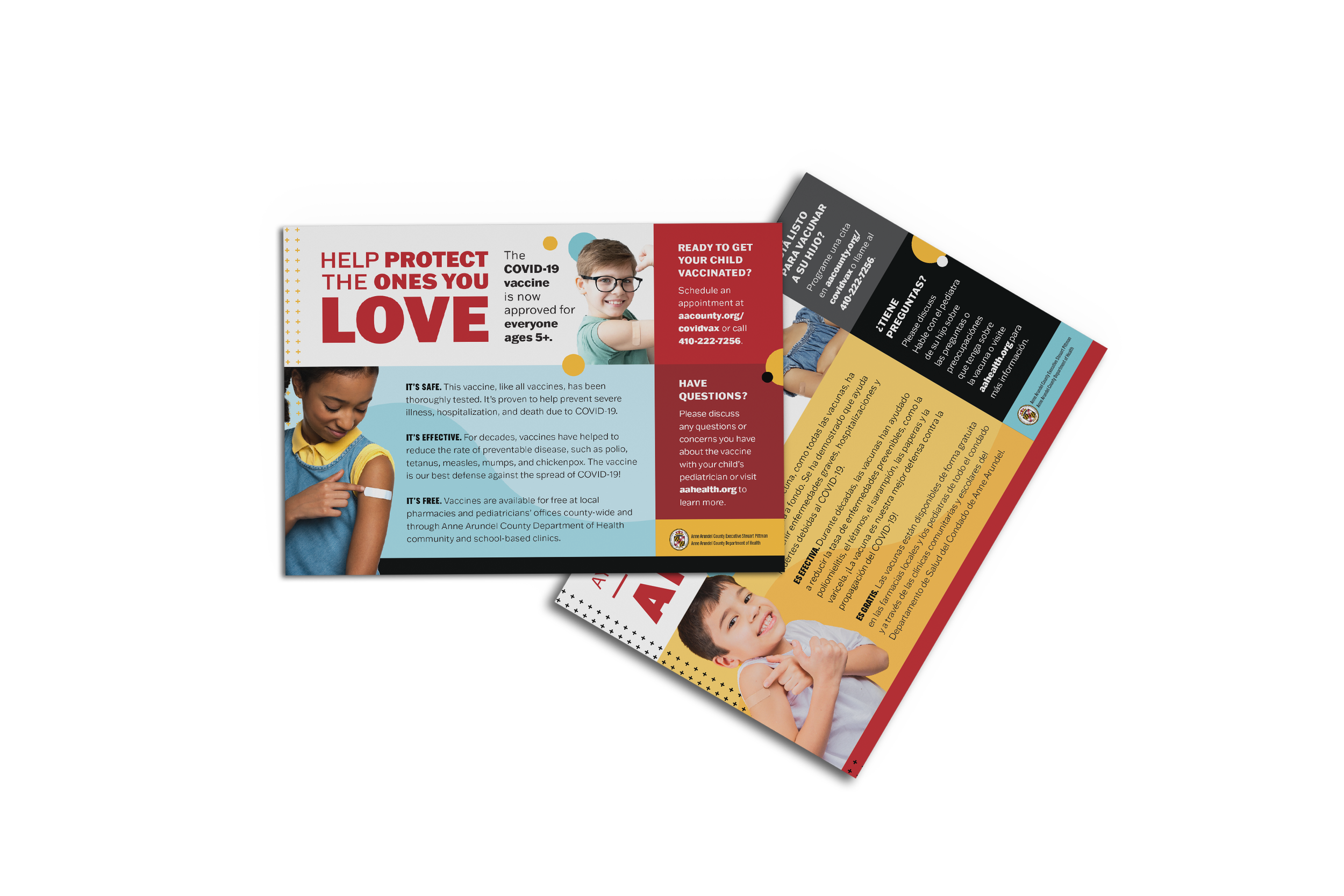 Top View Postcard Mockup_2.png