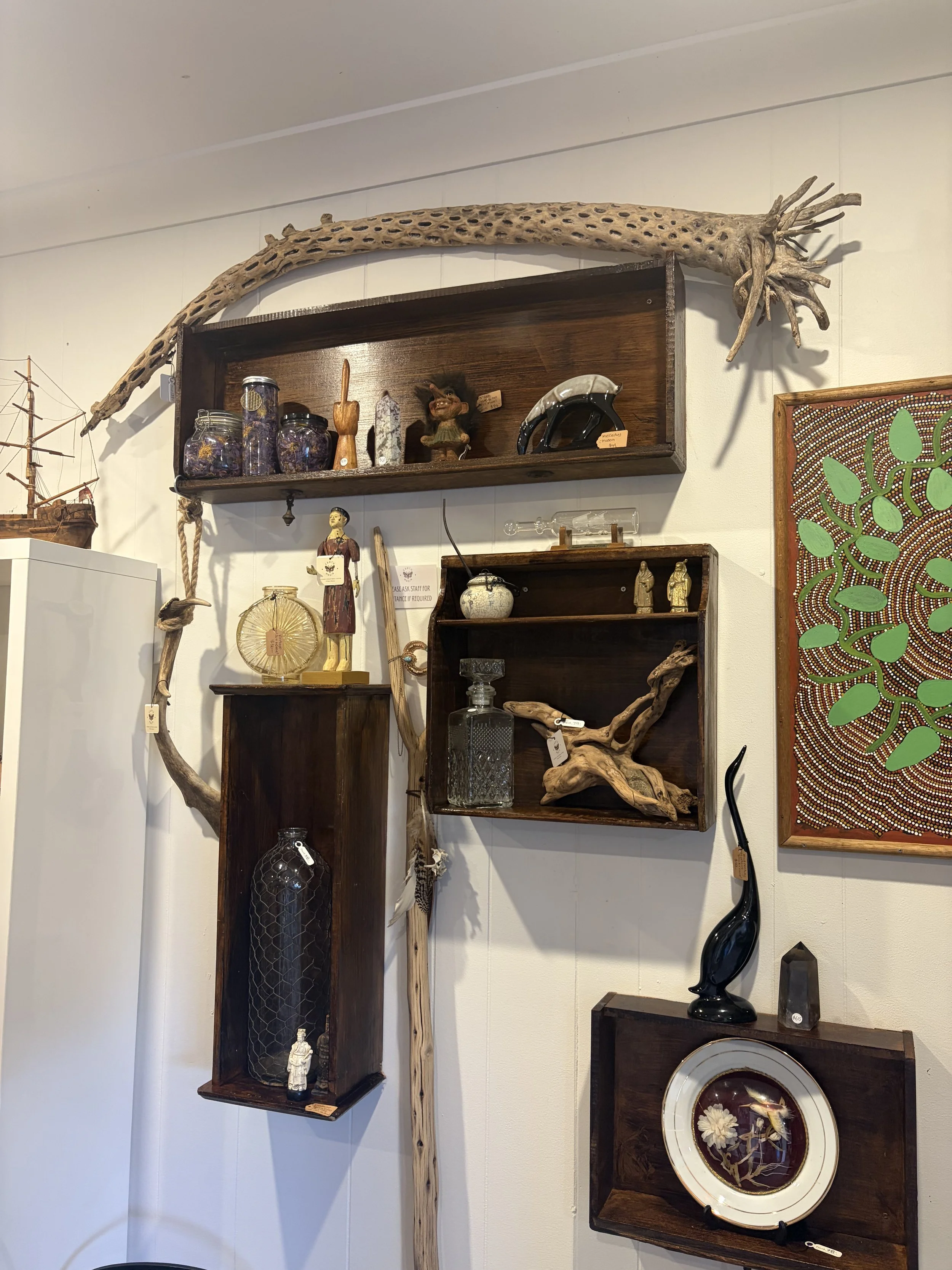 Eclectic antique shop display featuring a large perforated driftwood root, wooden shelves, vintage bottles, sculptures, artwork, and decorative objects.