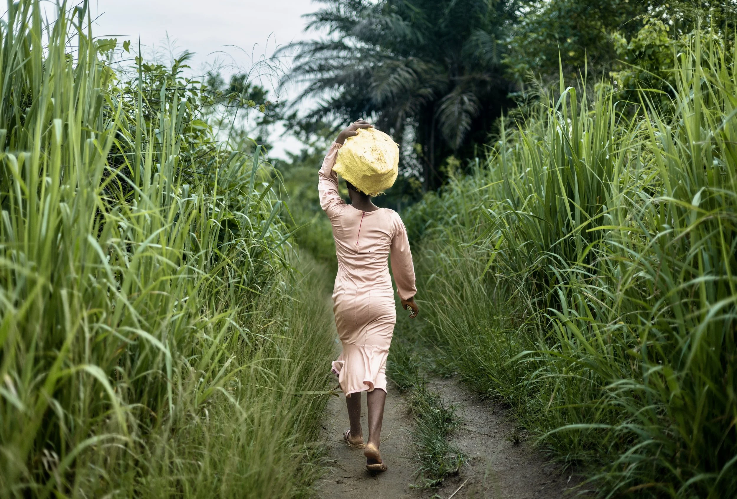 Person carrying a large yellow sack while walking along a dirt path through tall green grass in rural Nigeria. Photo by David Ferry Jr.