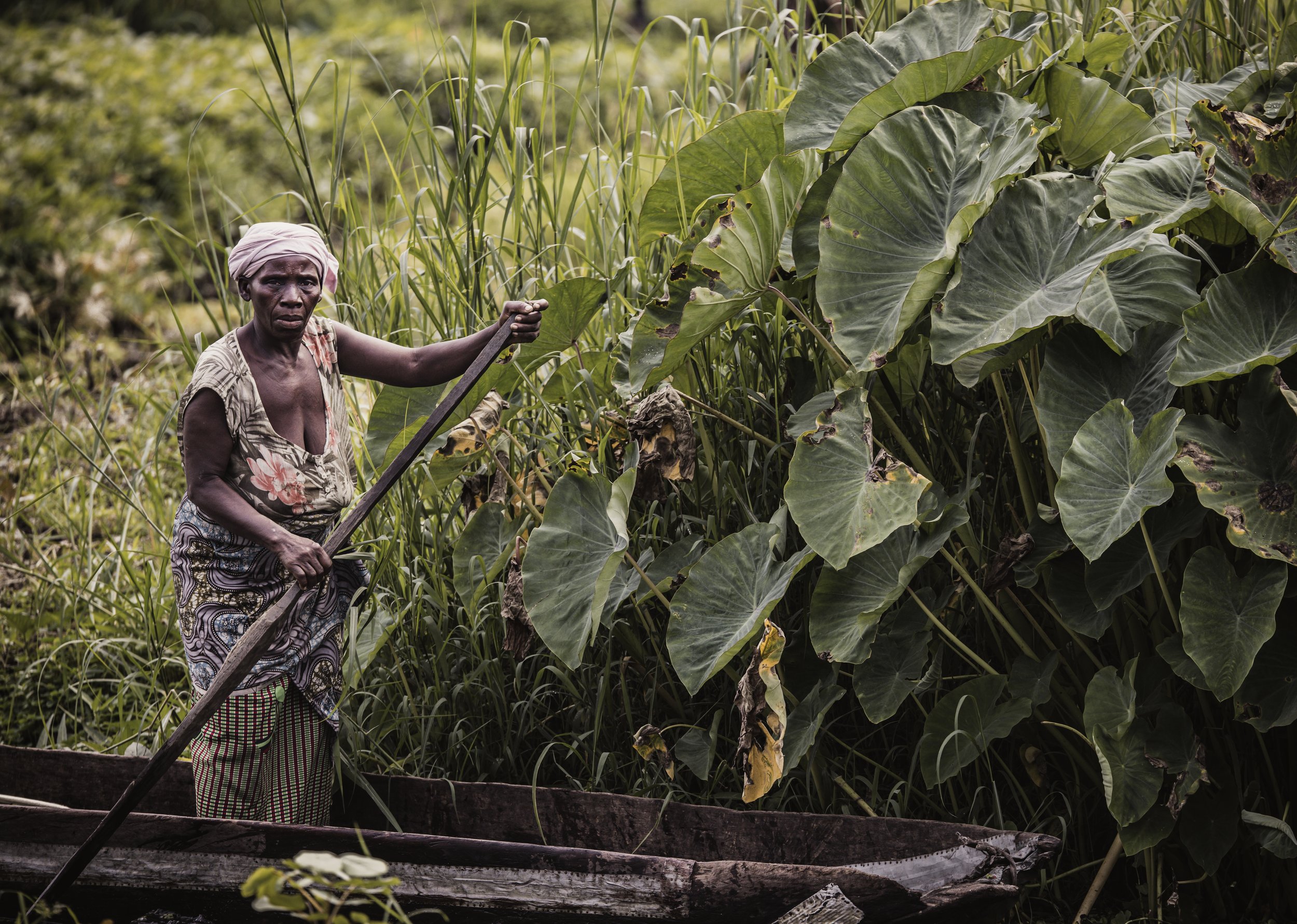 Congolese woman in a headscarf and patterned clothing standing with a farming tool among tall grasses and large taro leaves. Photo by David Ferry Jr.