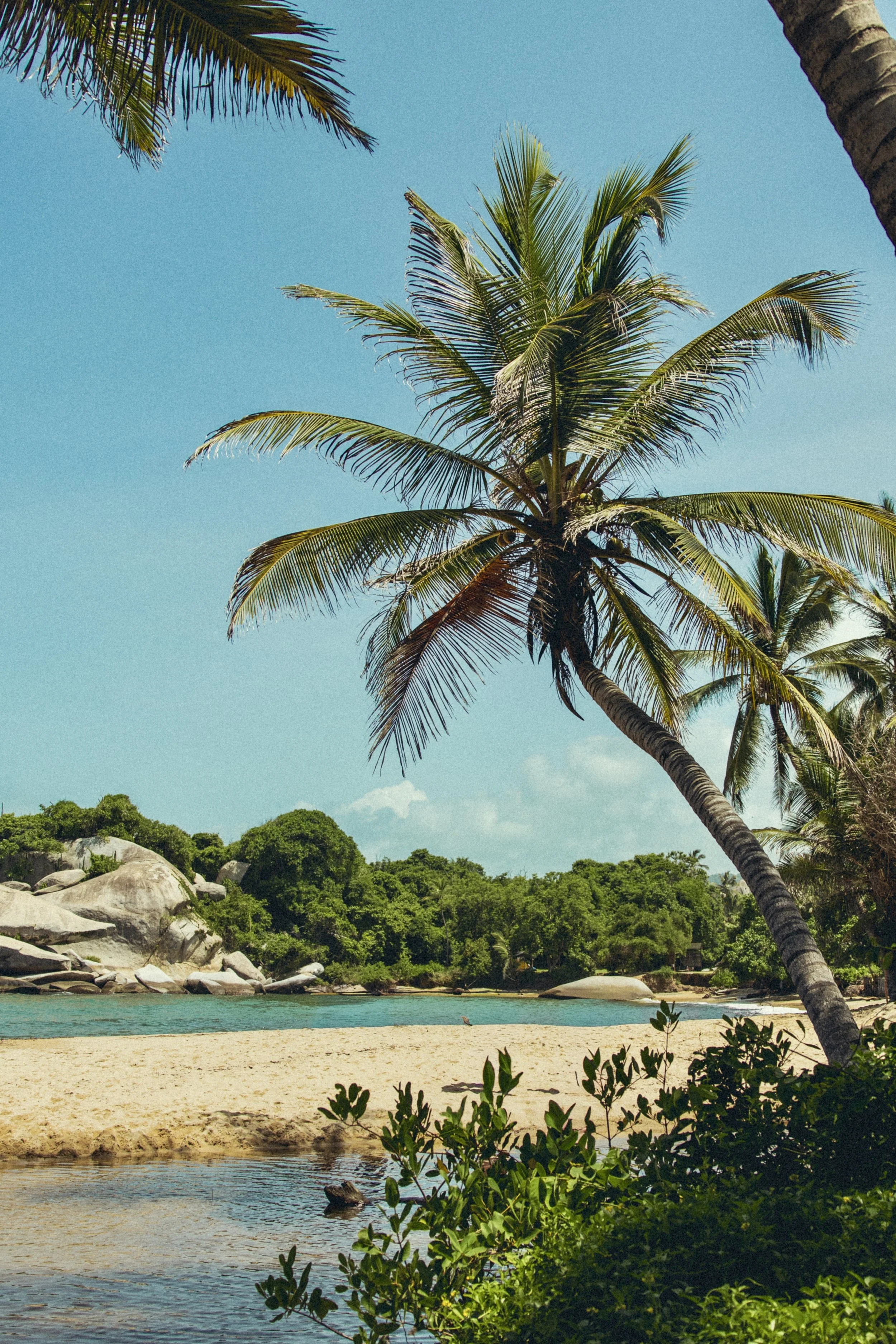Tropical beach with palm trees, turquoise water, lush forest, and granite boulders under a blue sky in Colombia. Photo by David Ferry Jr.