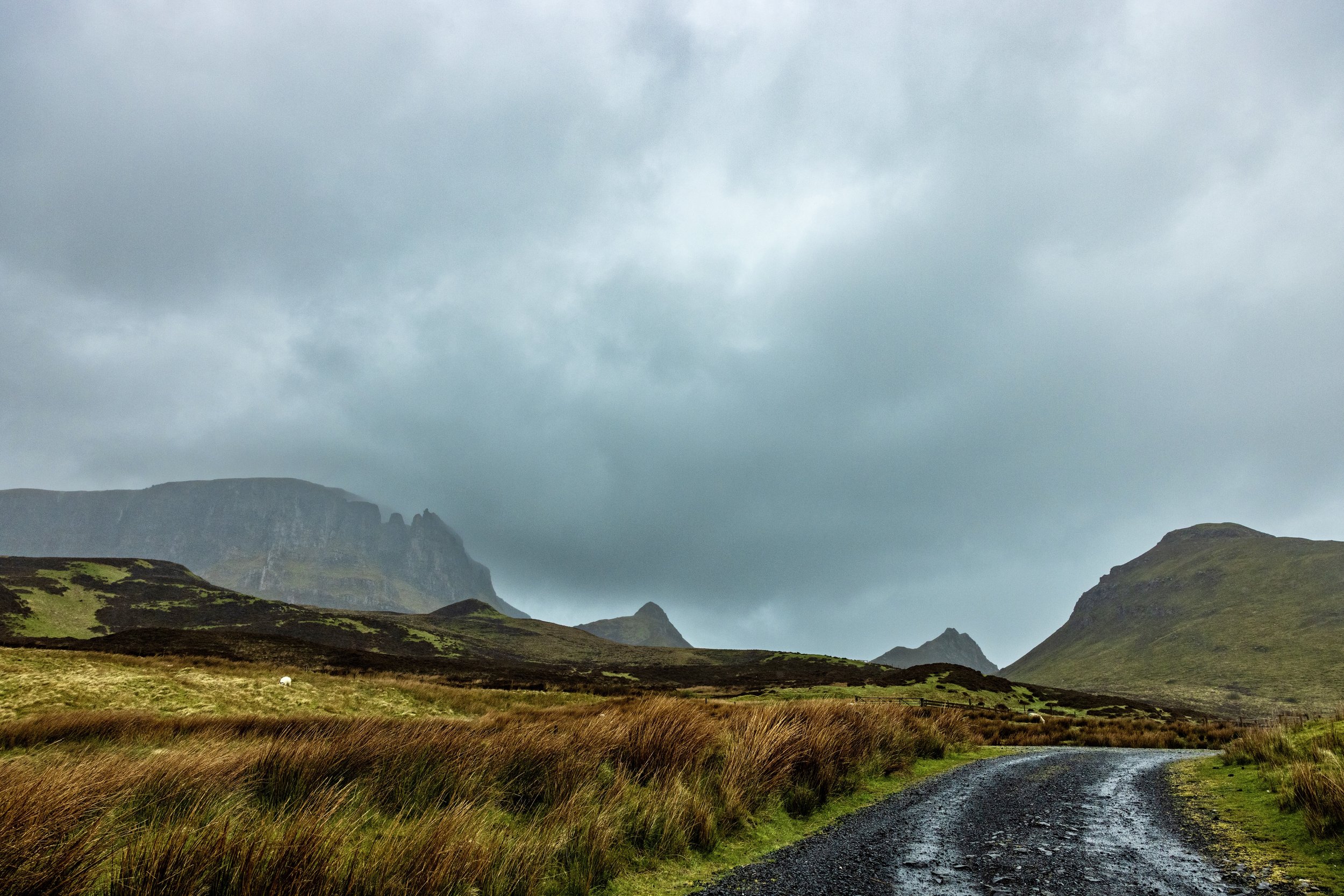 Misty mountain landscape with rugged peaks, grassy moorland, a gravel trail, and a grazing sheep on the Isle of Sky, Scotland. Photo by David Ferry Jr.