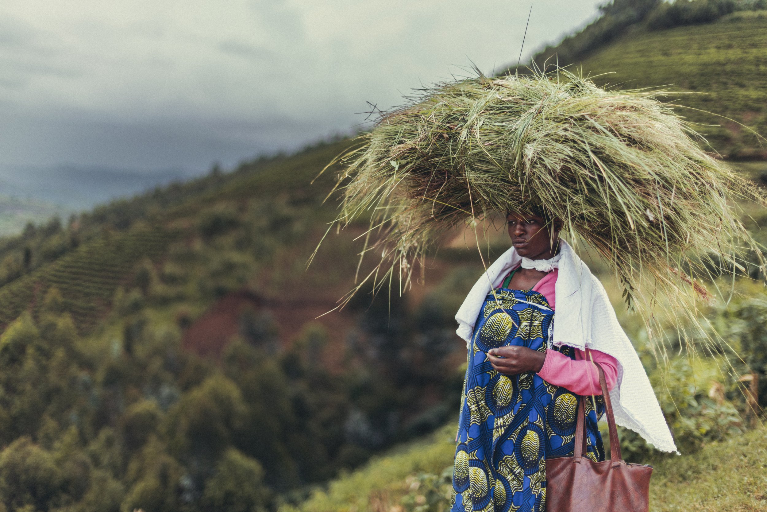 Woman carrying a large bundle of grass on her head through a green mountainous landscape in Rwanda. Photo by David Ferry Jr.