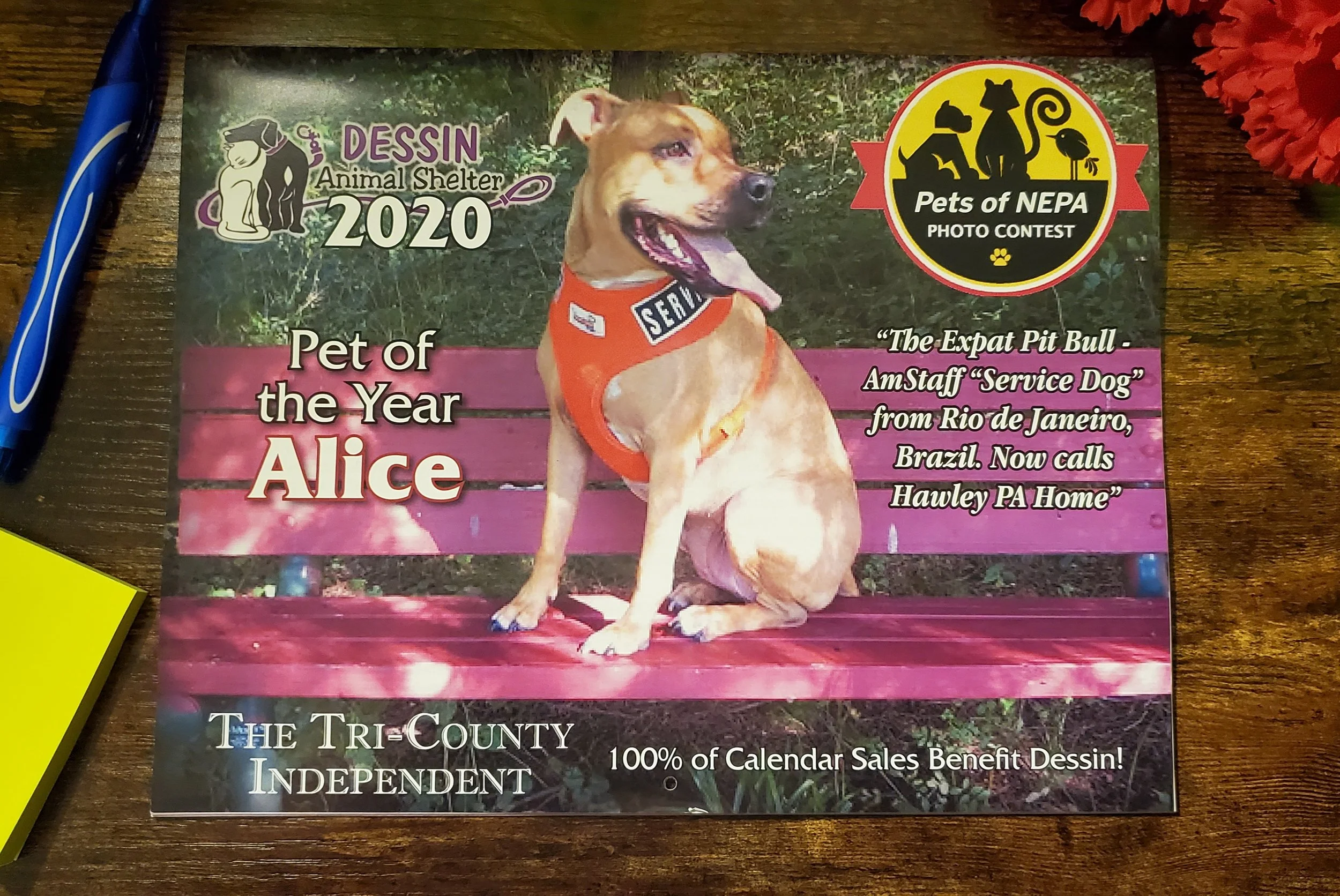 Calendar design for animal shelter