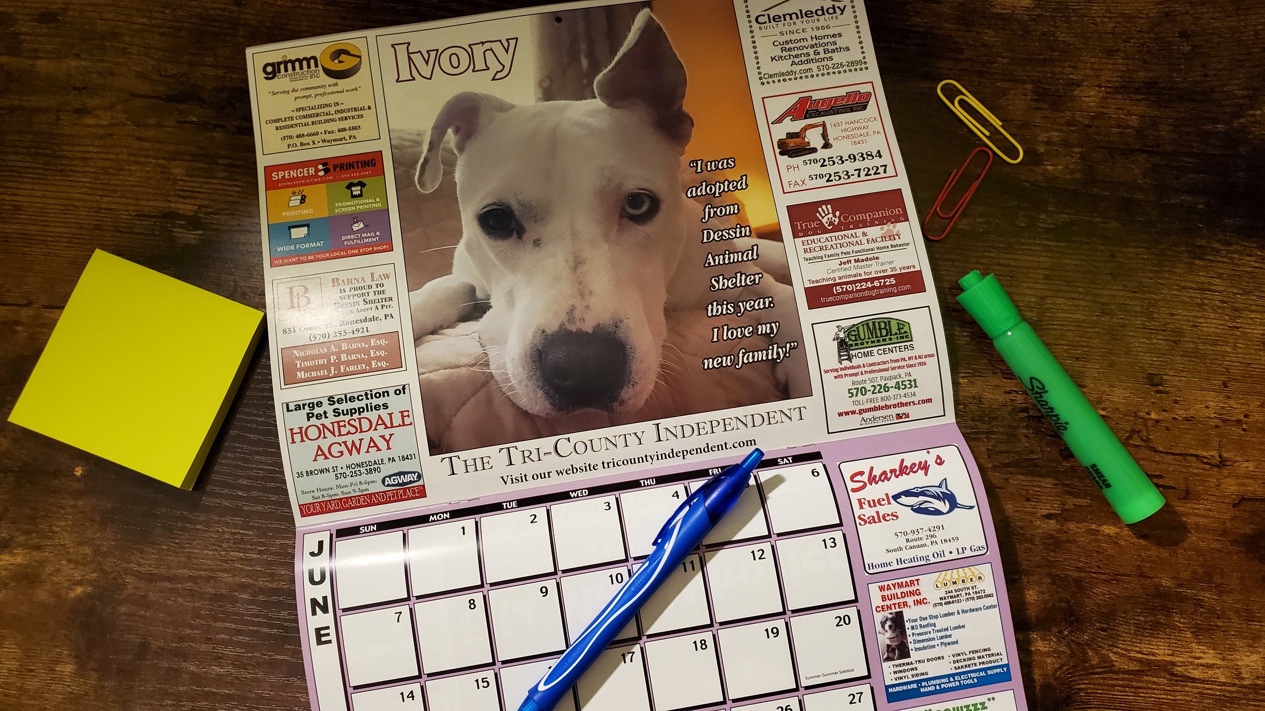 Inside of calendar for animal shelter