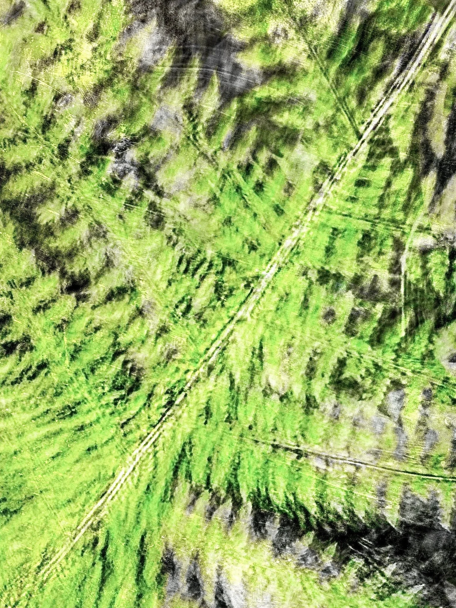 IMG_3632.jpeg