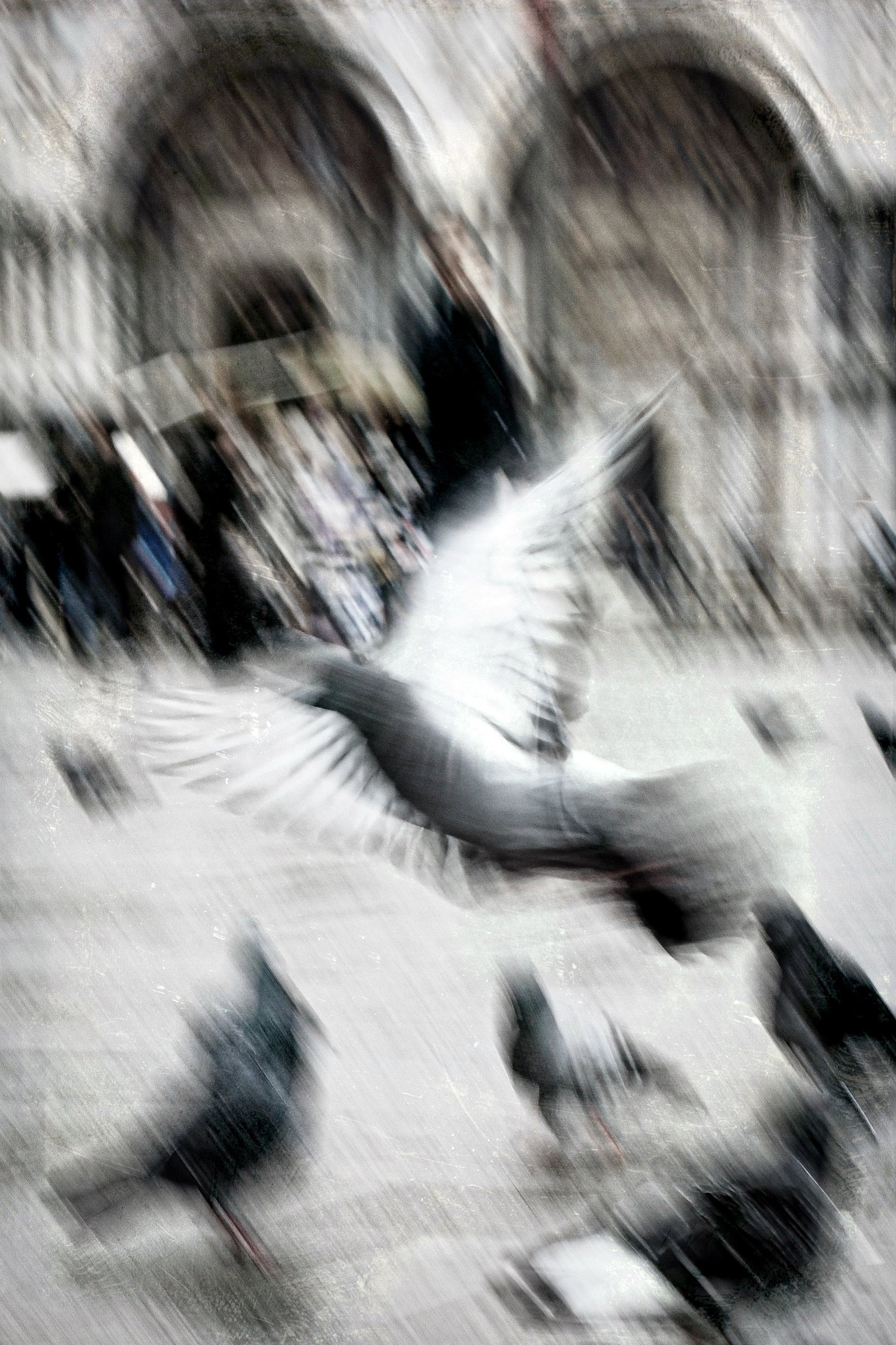 E5EECB8A-9D22-4E73-B028-64C95E276A57.jpeg