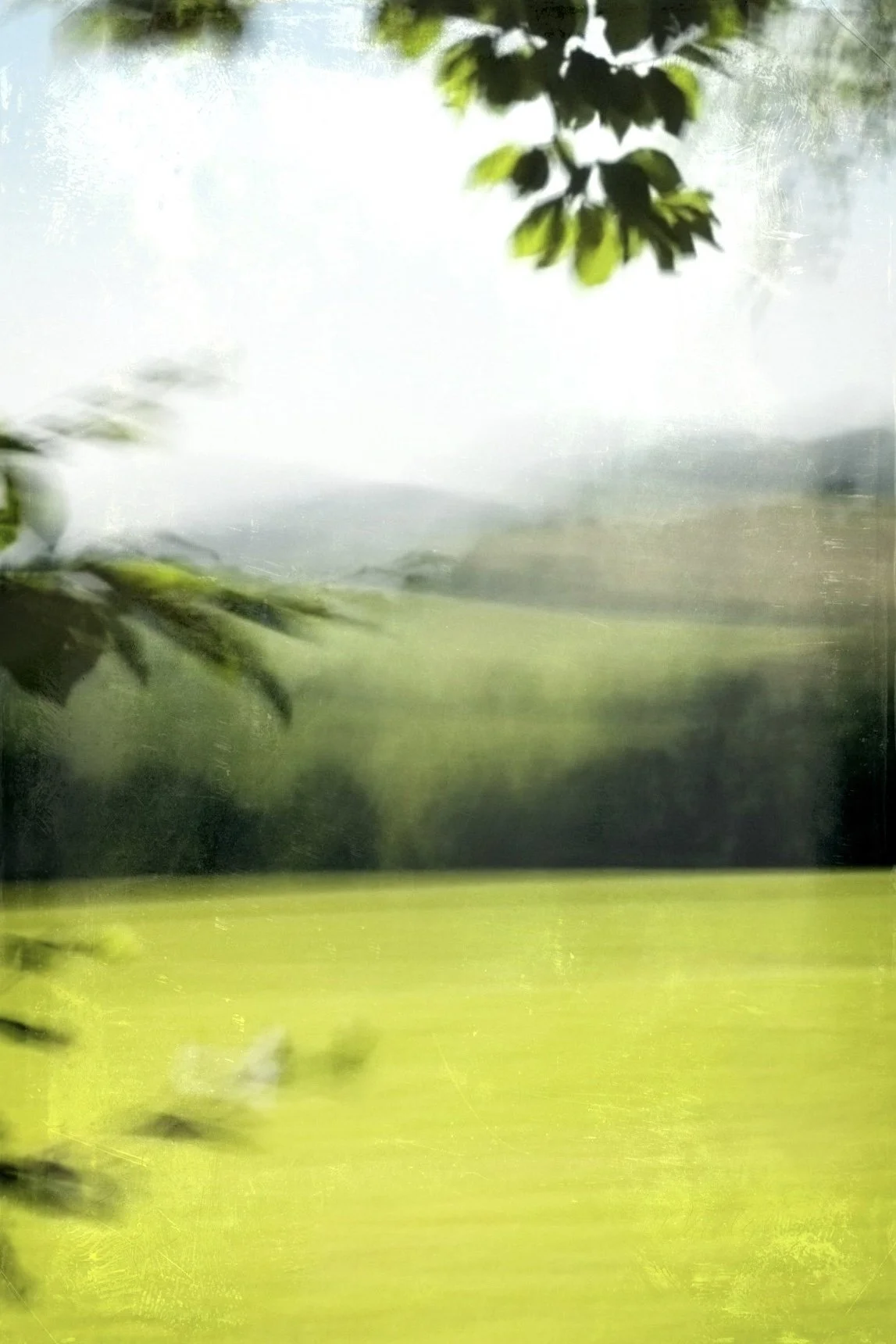 IMG_3980.jpeg