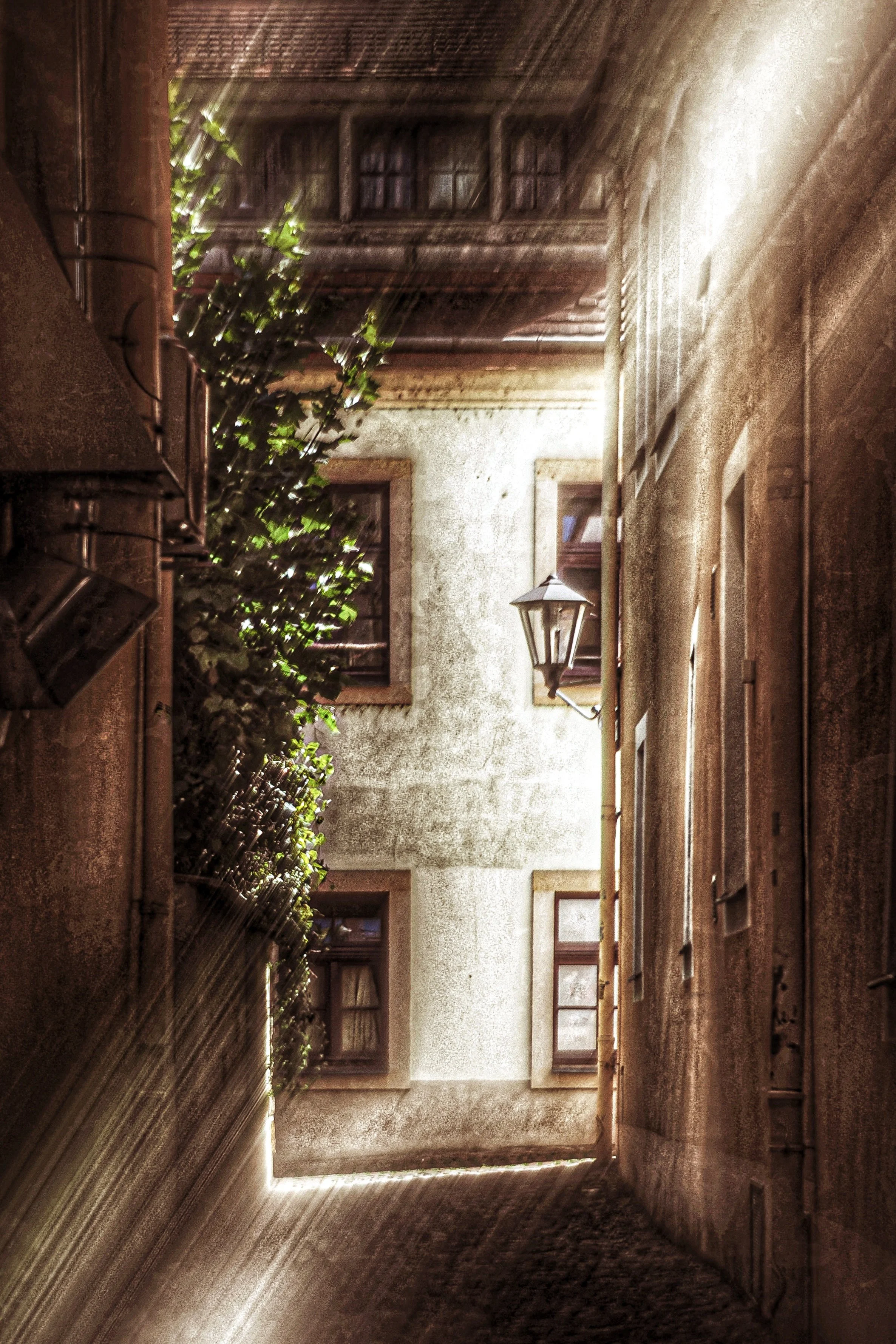 D28EDFD5-6BD3-4DFF-BDC2-B66661154A01.jpeg