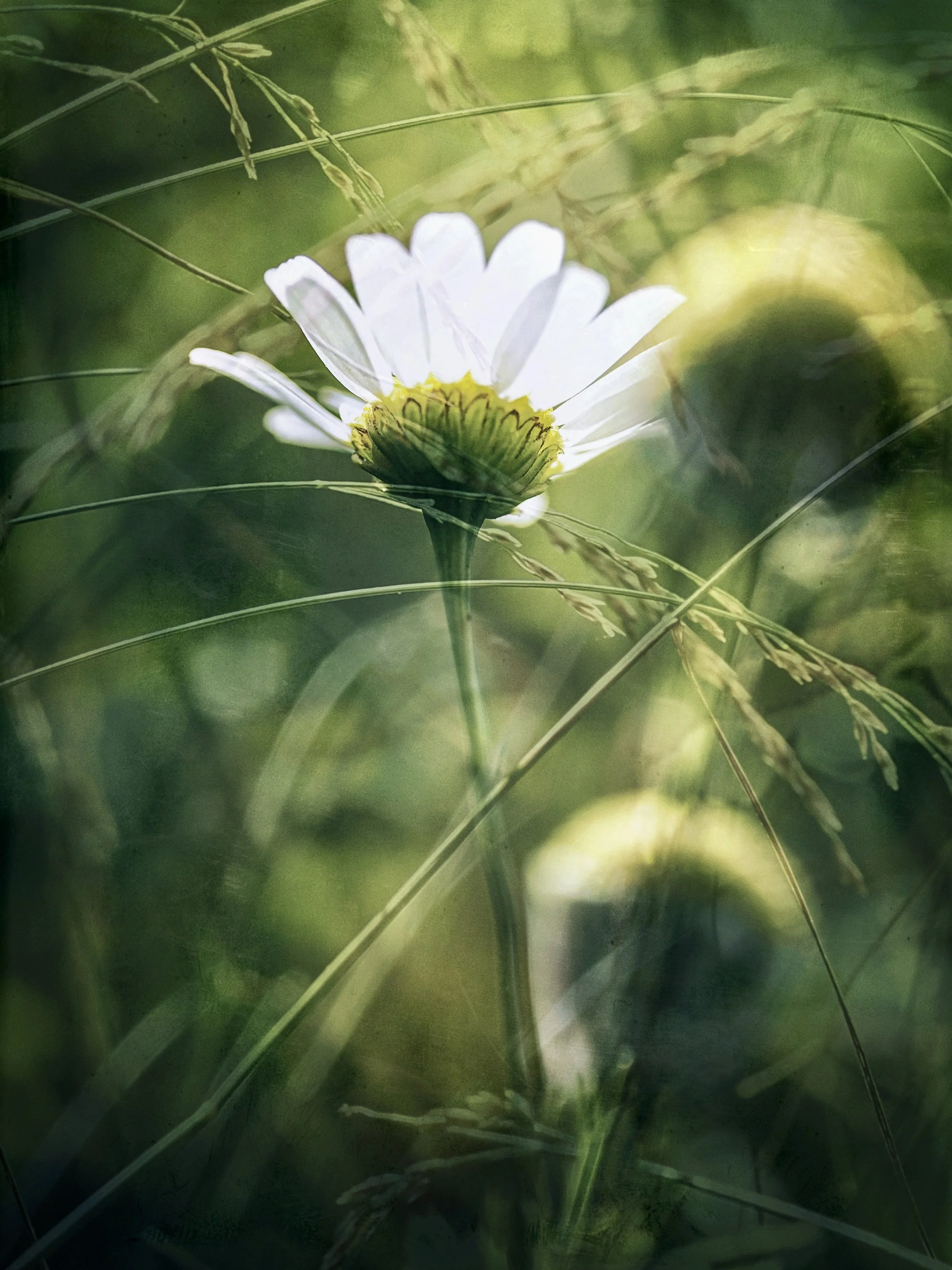 IMG_6118.jpeg