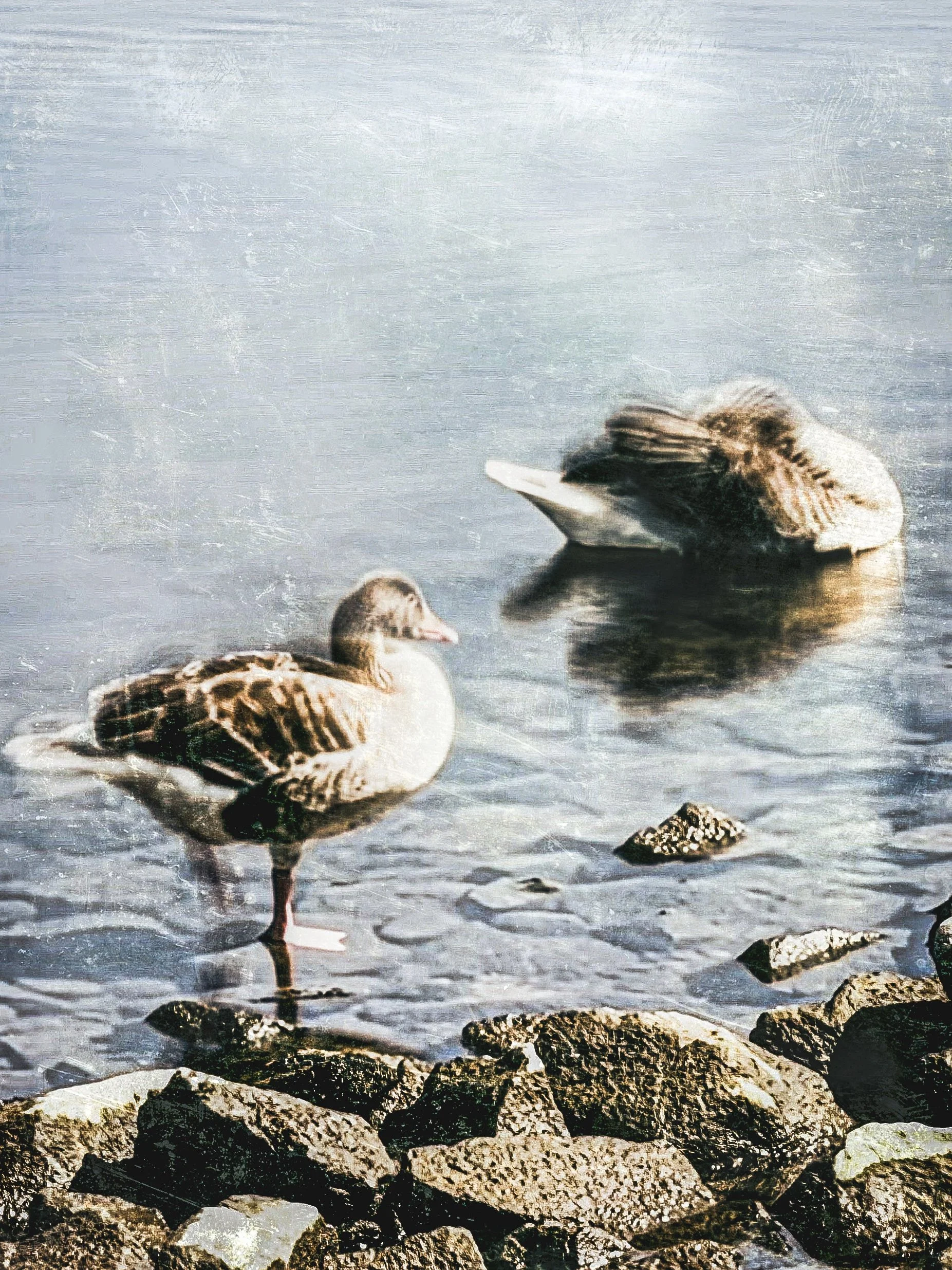 IMG_4434.jpeg