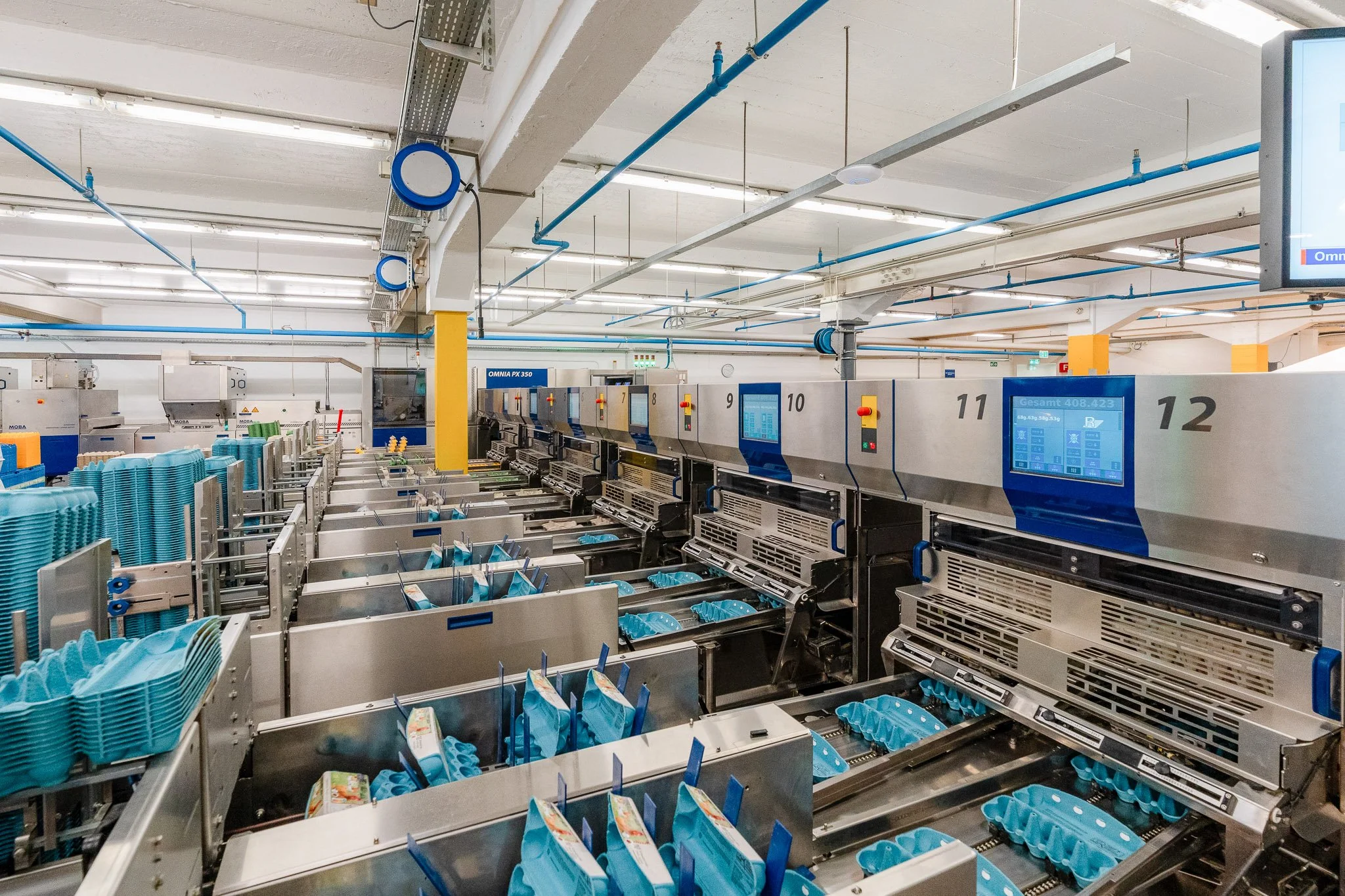 Industrielle Verpackungs- und Sortieranlage mit Förderbändern, blauen Kunststoffschalen und Maschinen in einer Produktionshalle
