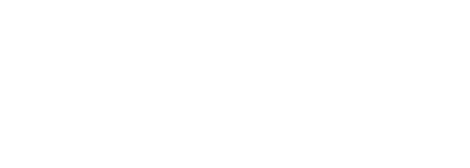Walker &amp; Pestaj AG