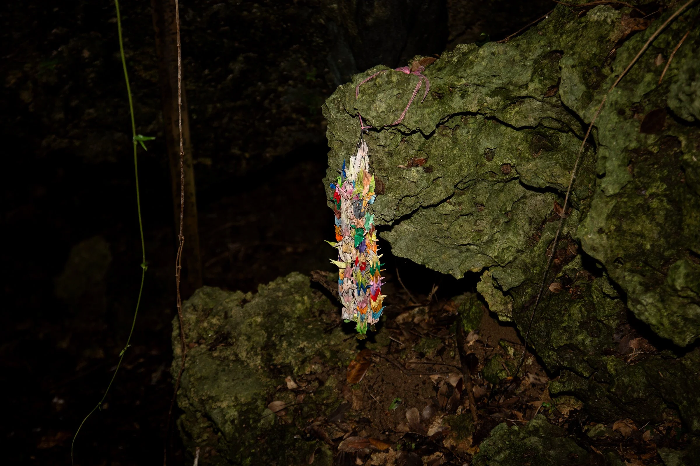 Flowers of Memory-Okinawa 05.jpg