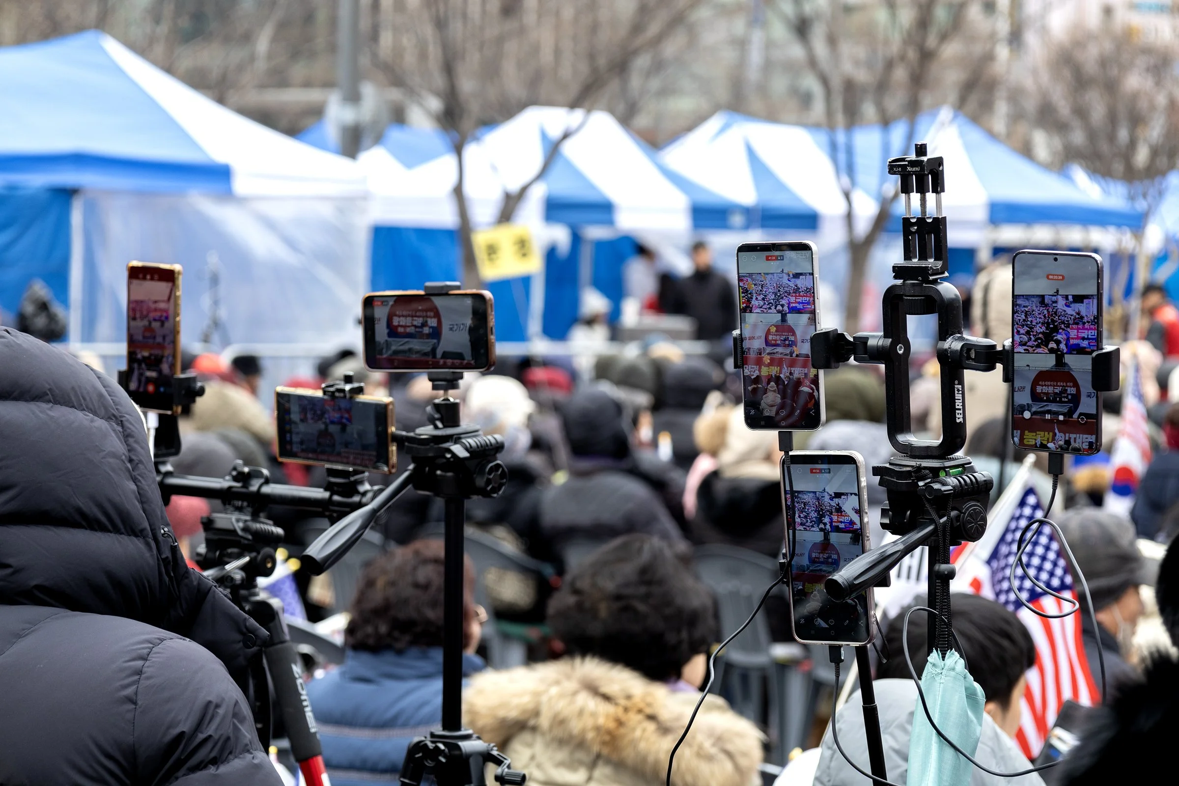 Voices of Winter Square 06.jpg