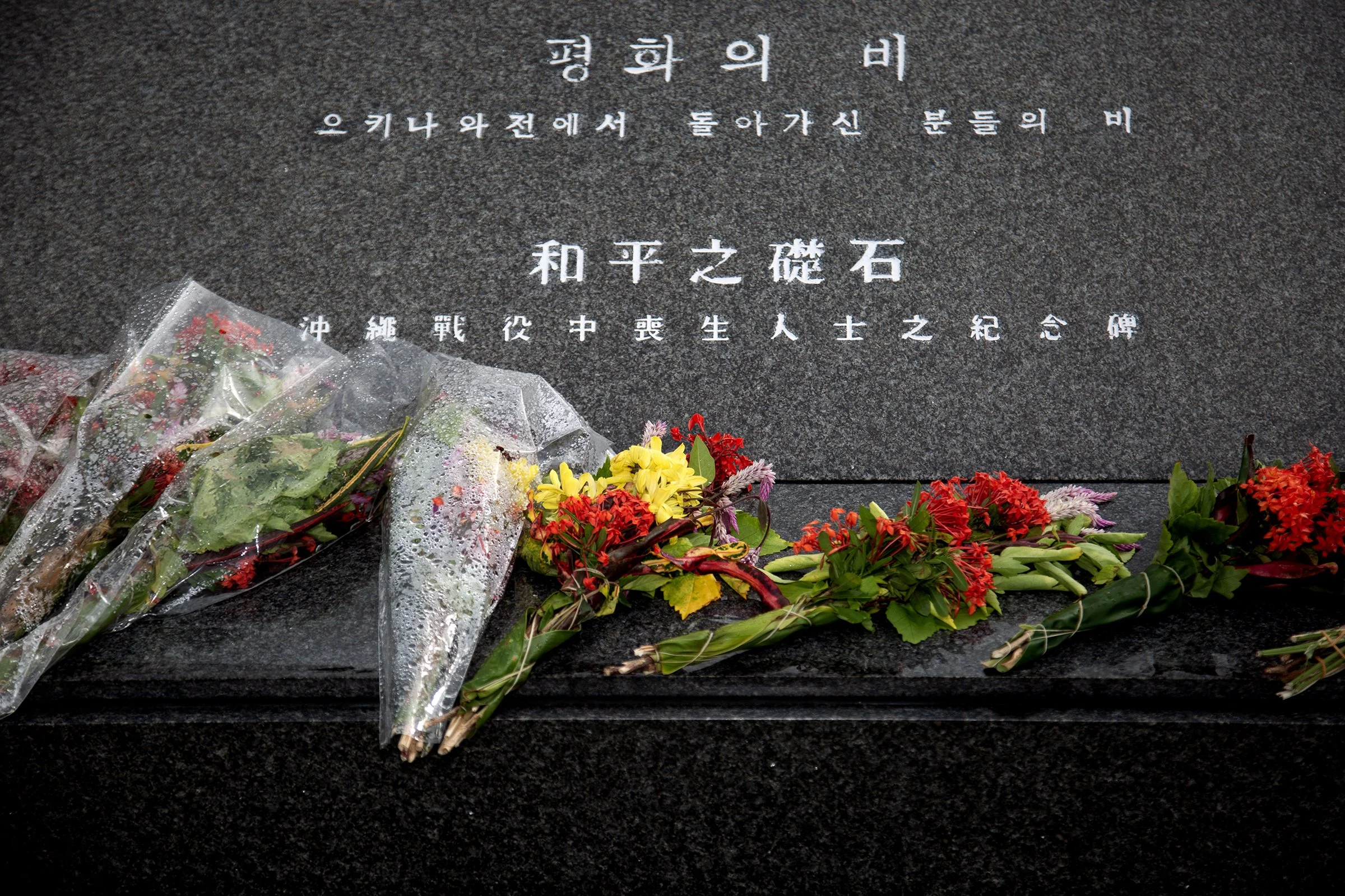 Flowers of Memory-Okinawa 04.jpg
