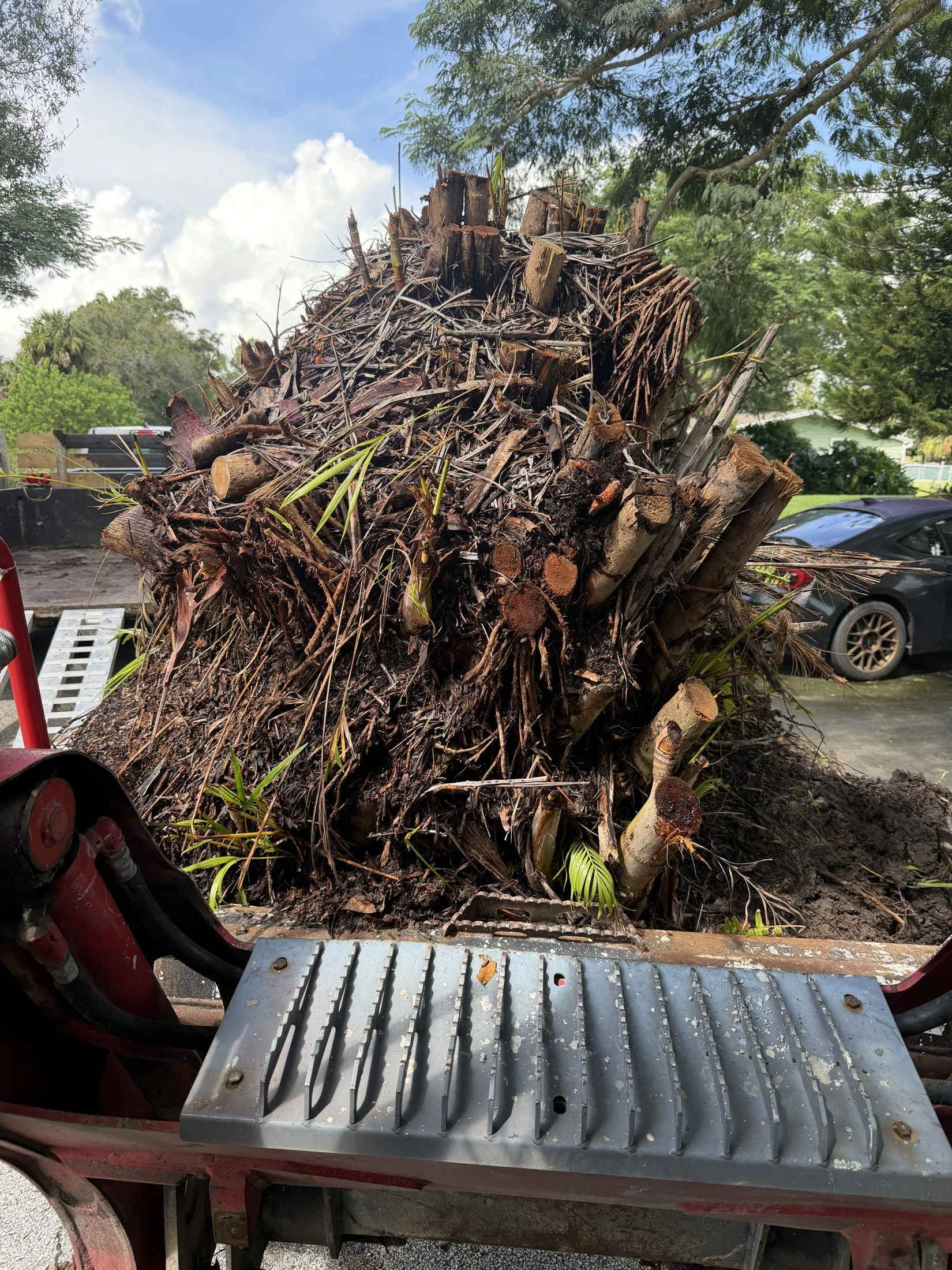 Large stump and root debris handled with jobsite equipment.