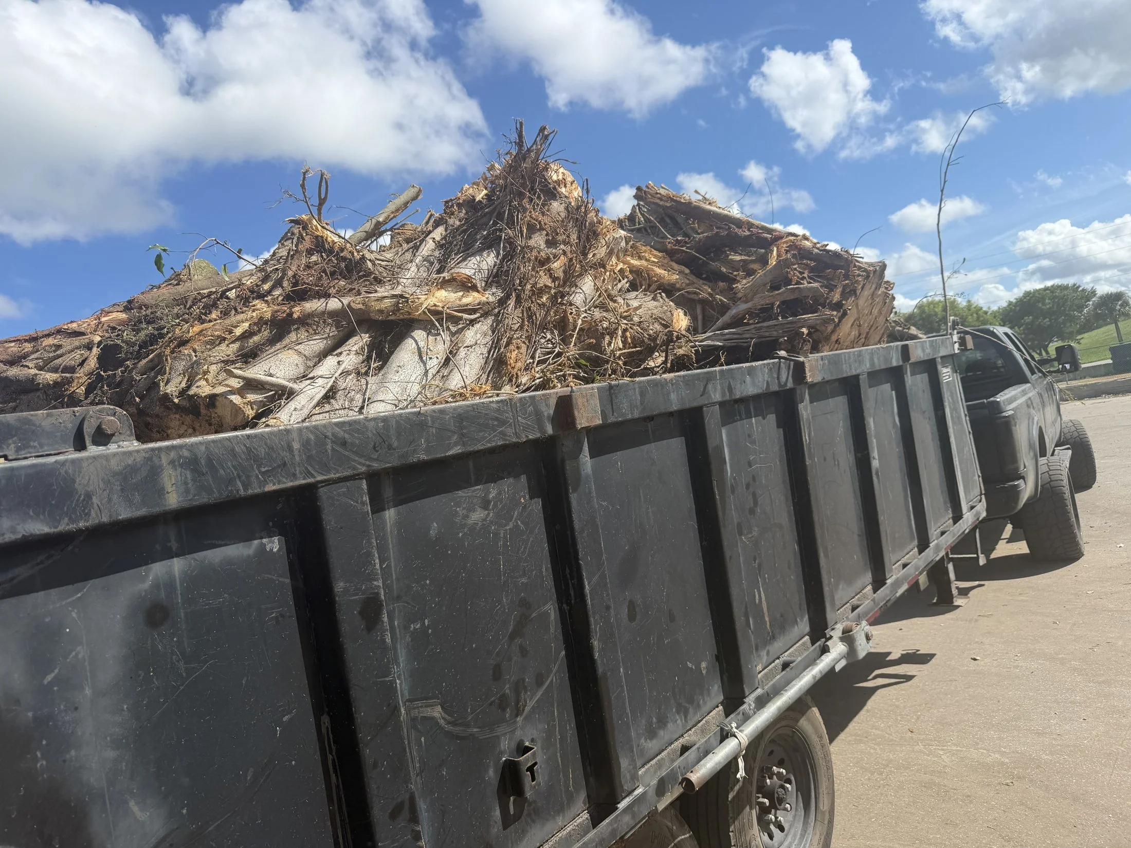 Dump trailer loaded with wood and root debris for hauling.