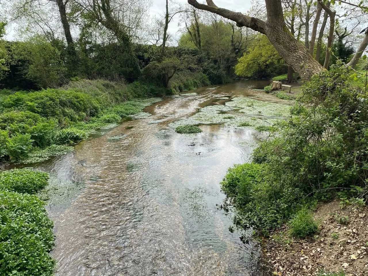 p03.jpg