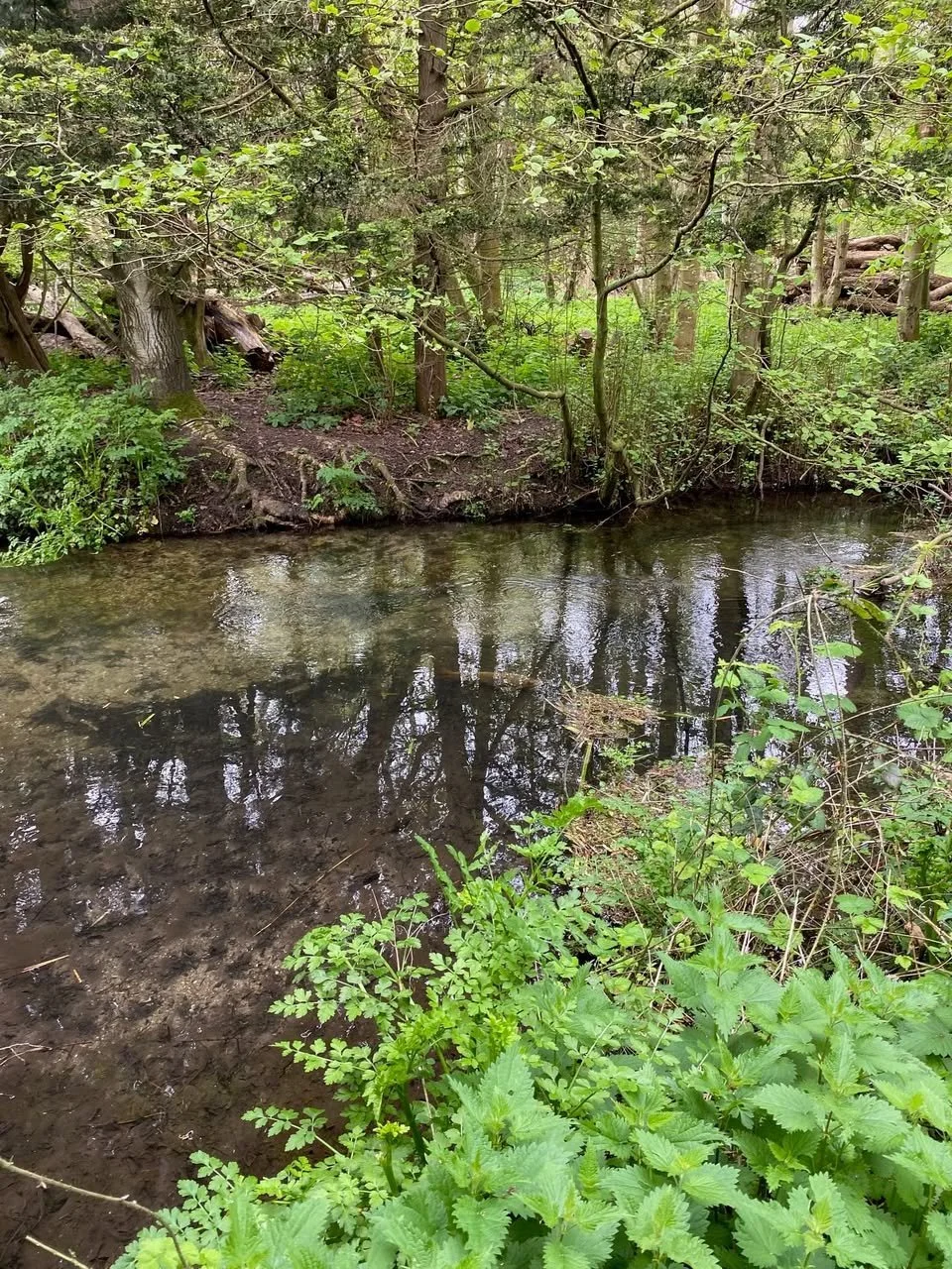 p04.jpg