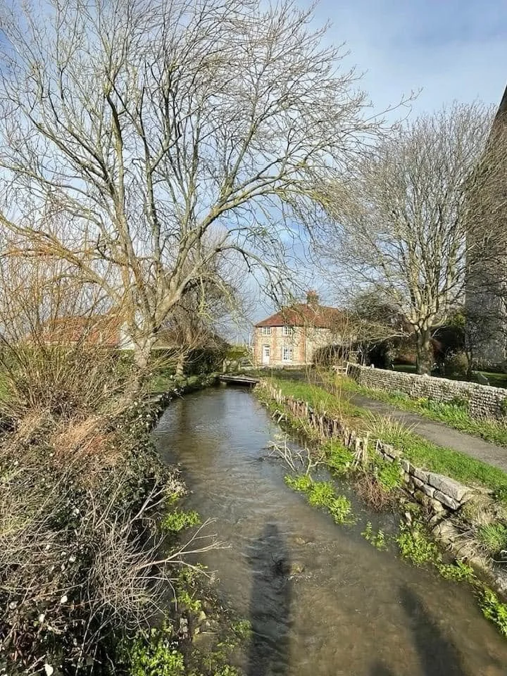 p01.jpg