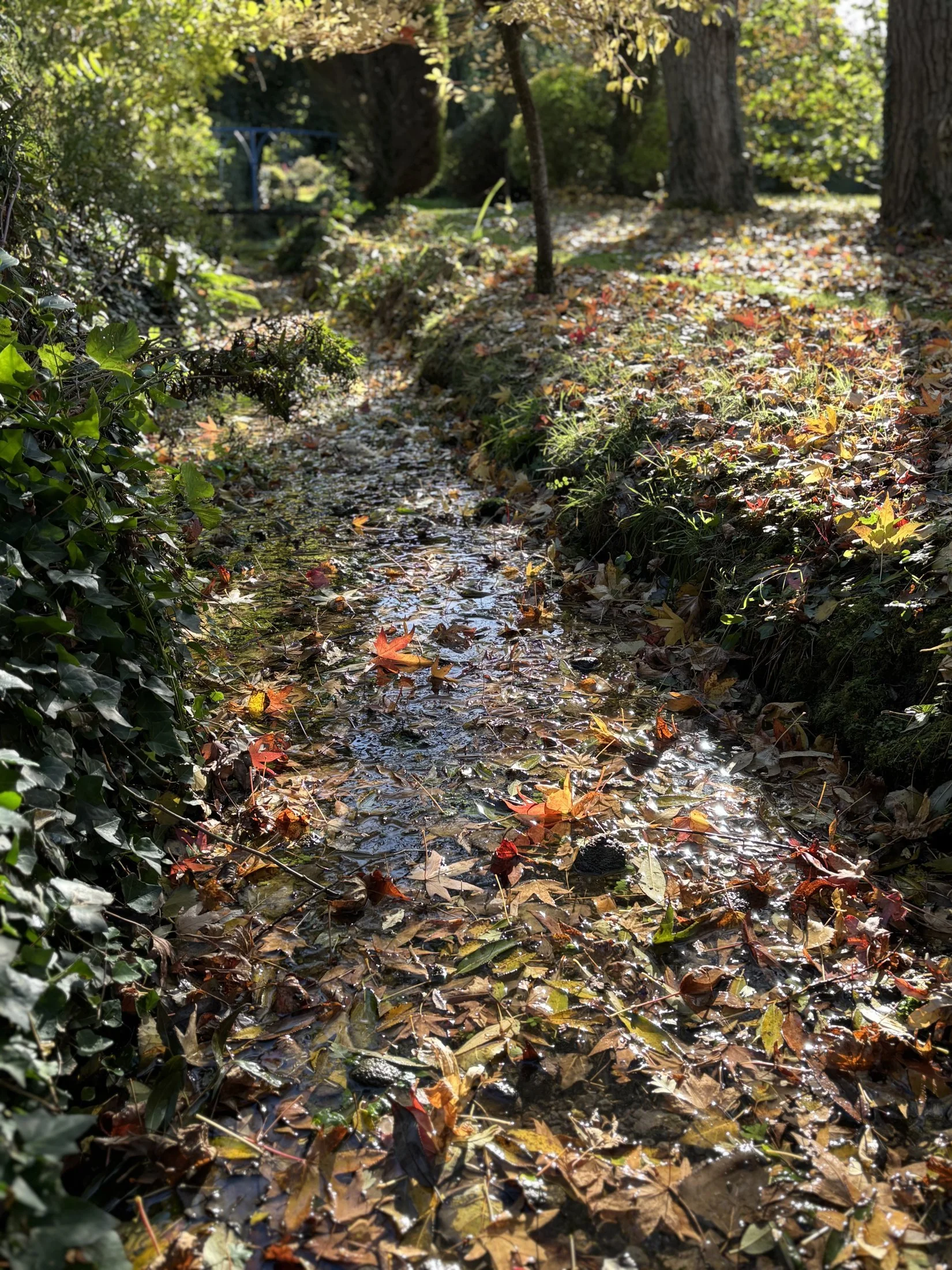 p07.jpg