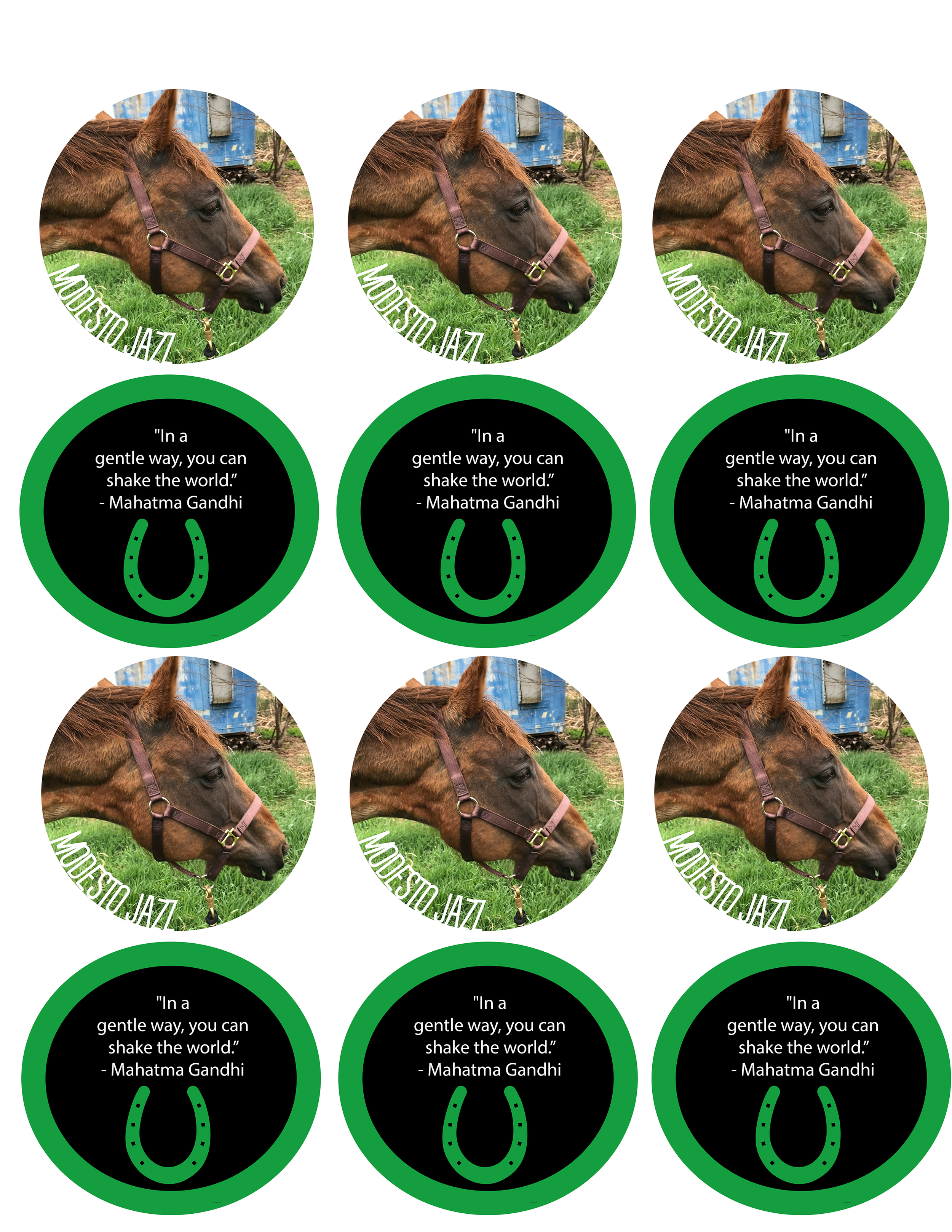 Epona Safe Haven Stickers (Senior Year of College, September-December 2021)