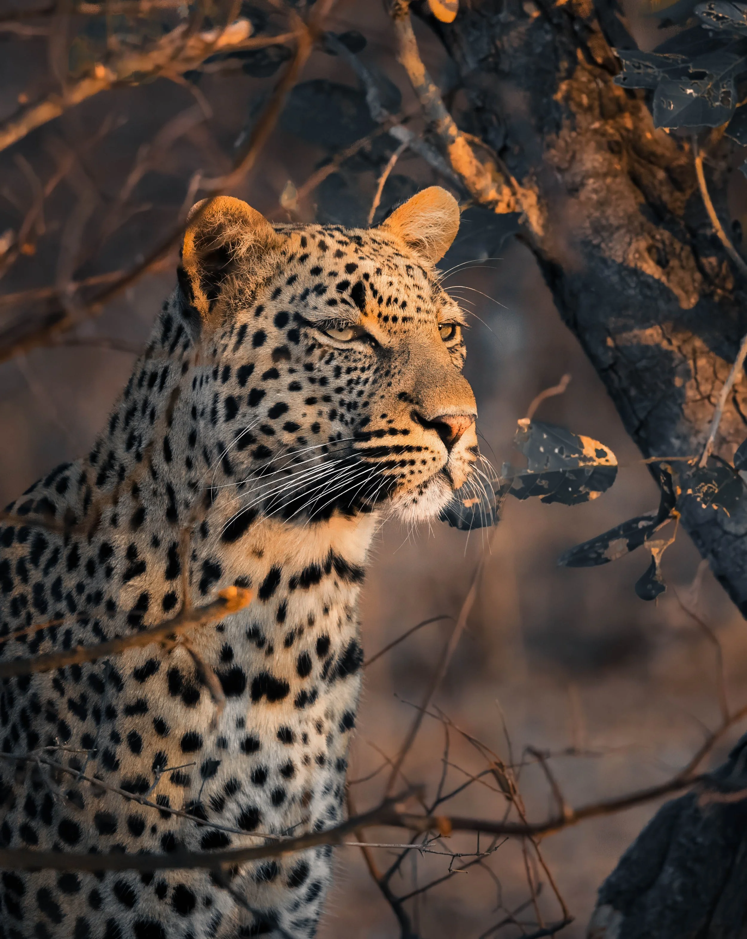 5X5A3574-Edit-7.jpg