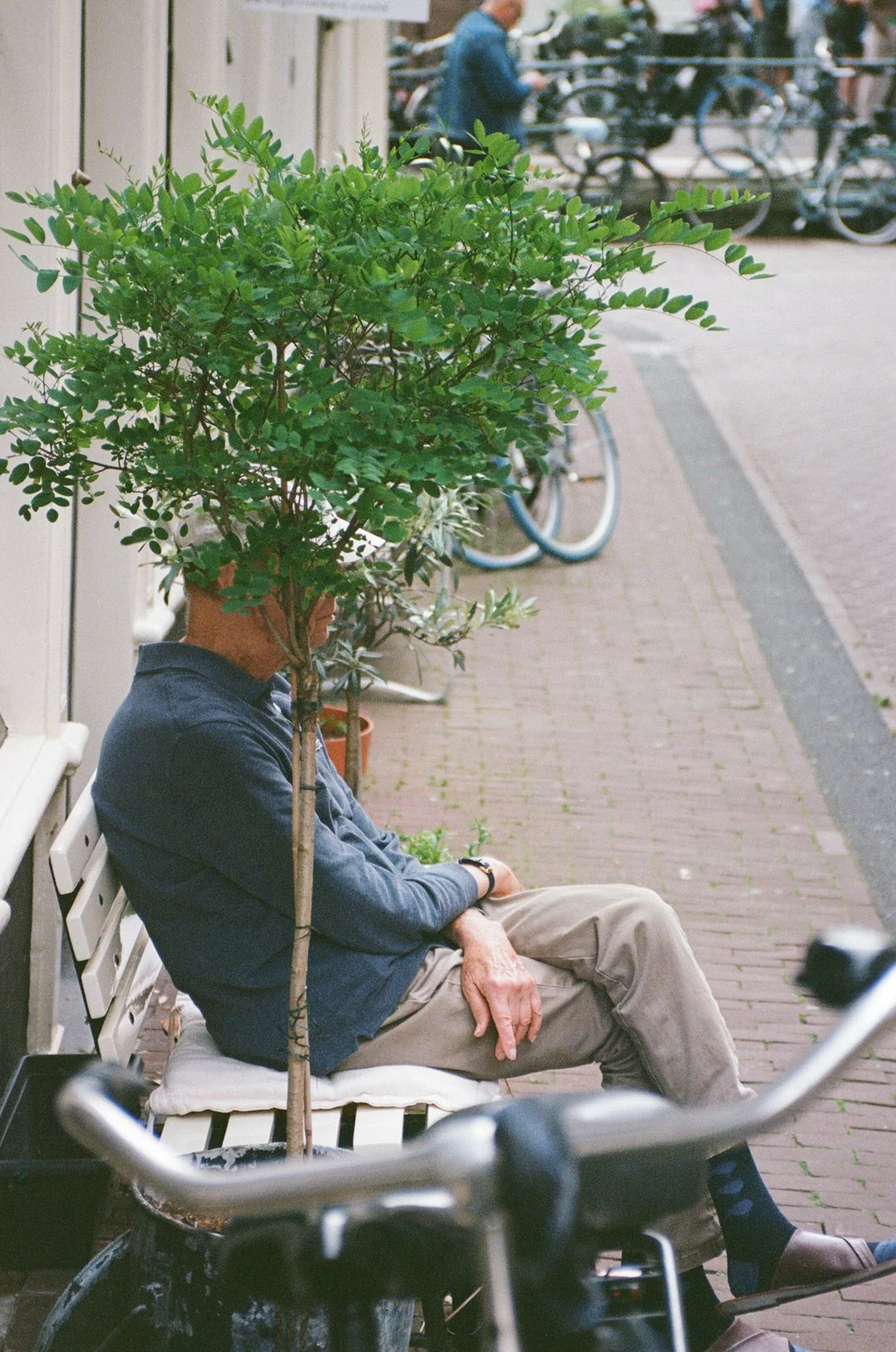 Older man sitting on a bench behind a potted leafy tree, with bicycles lining a brick sidewalk in the background.