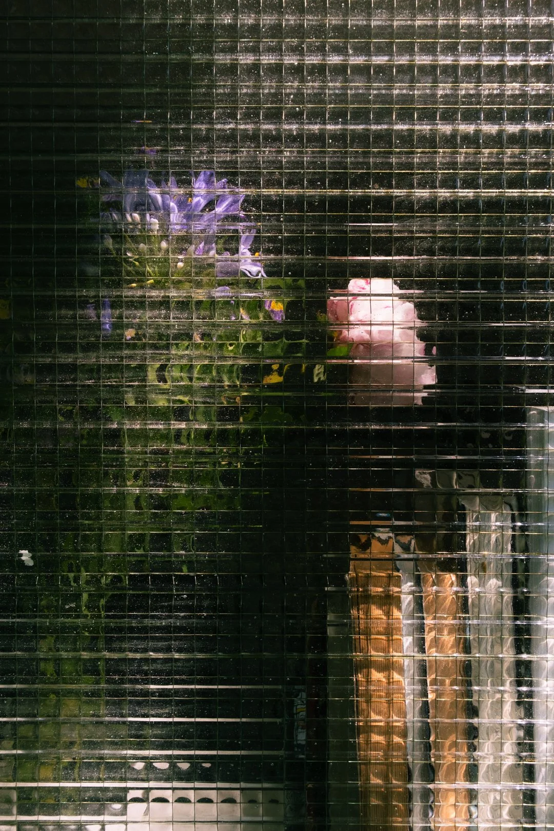 Purple and pink flowers reflected in a rain-speckled glass window with a tiled grid pattern